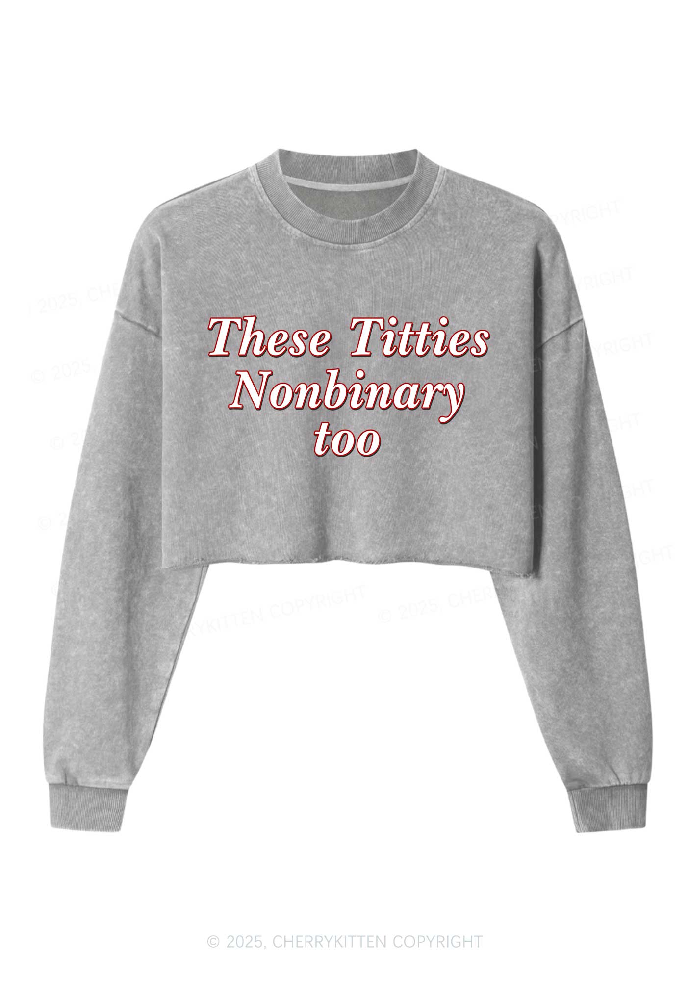 Txtties Nonbinary Too Y2K Crop Washed Sweatshirts Cherrykitten