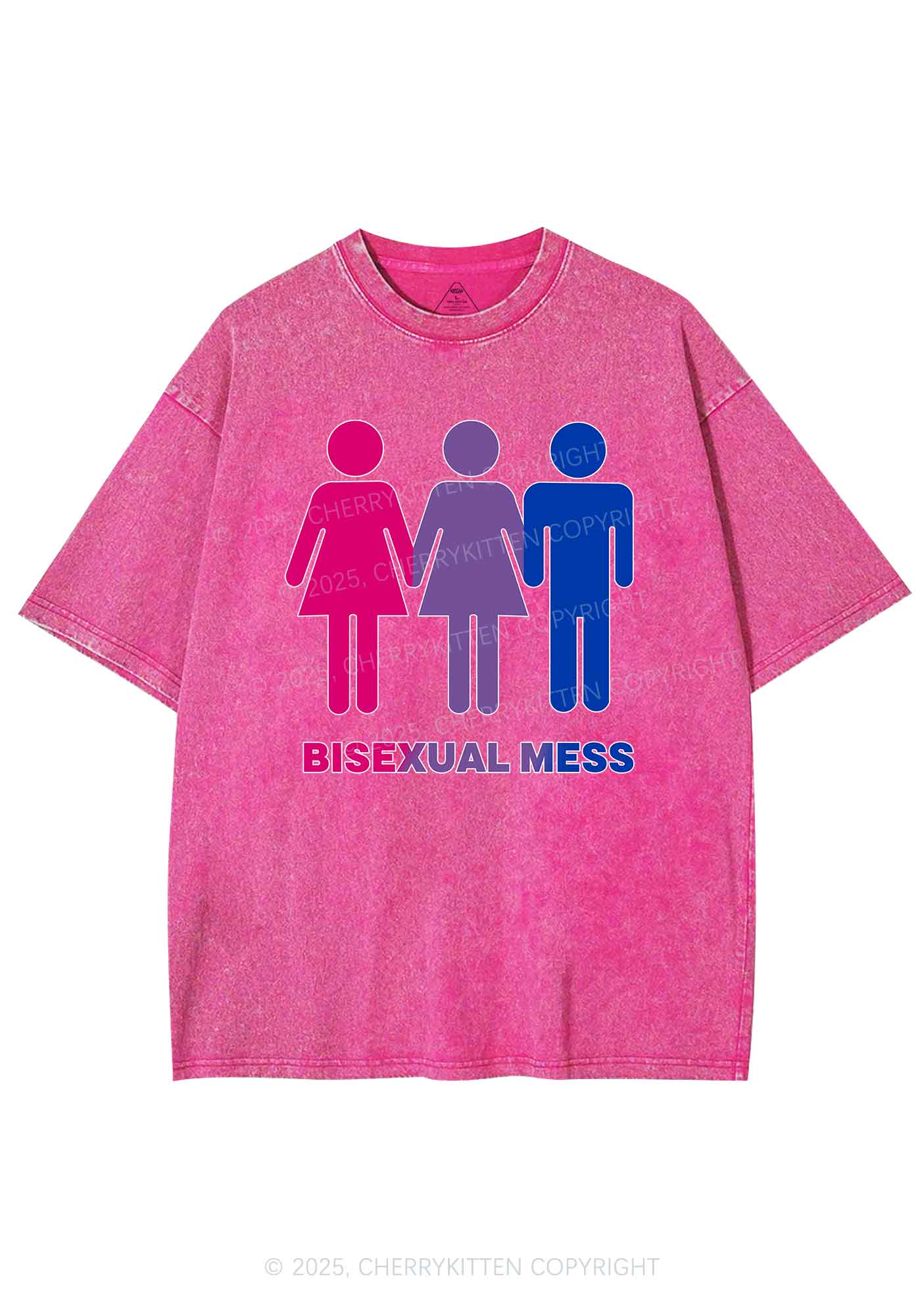 Bisexual Mess Love Pride Y2K Shirts Washed Tee Cherrykitten