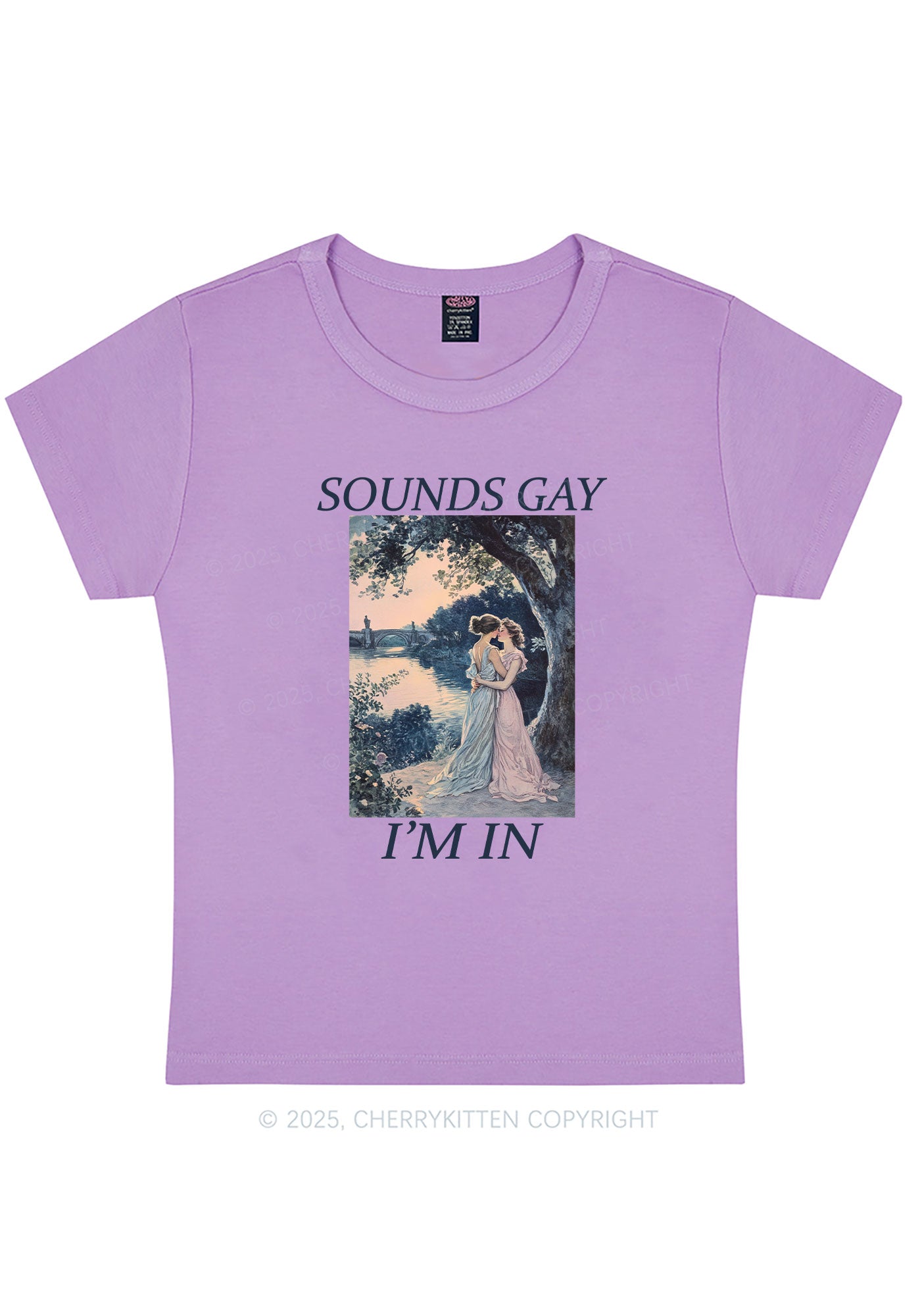 Sounds Gay Im In Pride Y2K Baby Tee Cherrykitten