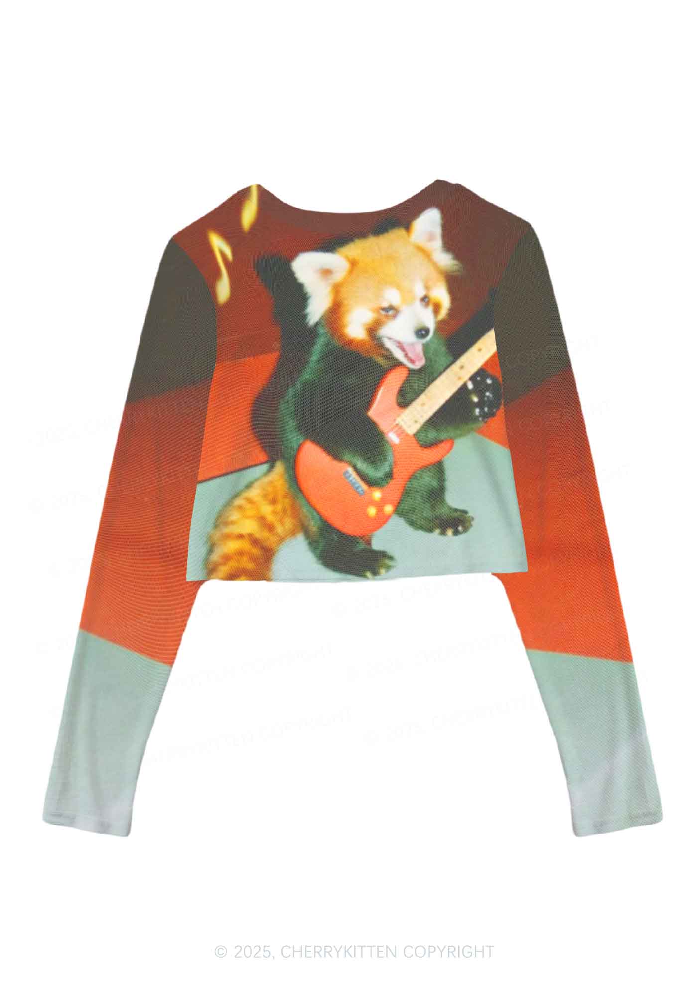 Guitar Raccoon Y2K Mesh Long Sleeve Crop Top Cherrykitten