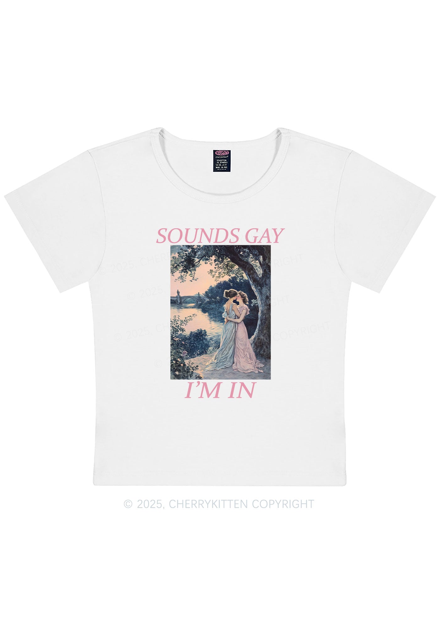 Sounds Gay Im In Pride Y2K Baby Tee Cherrykitten