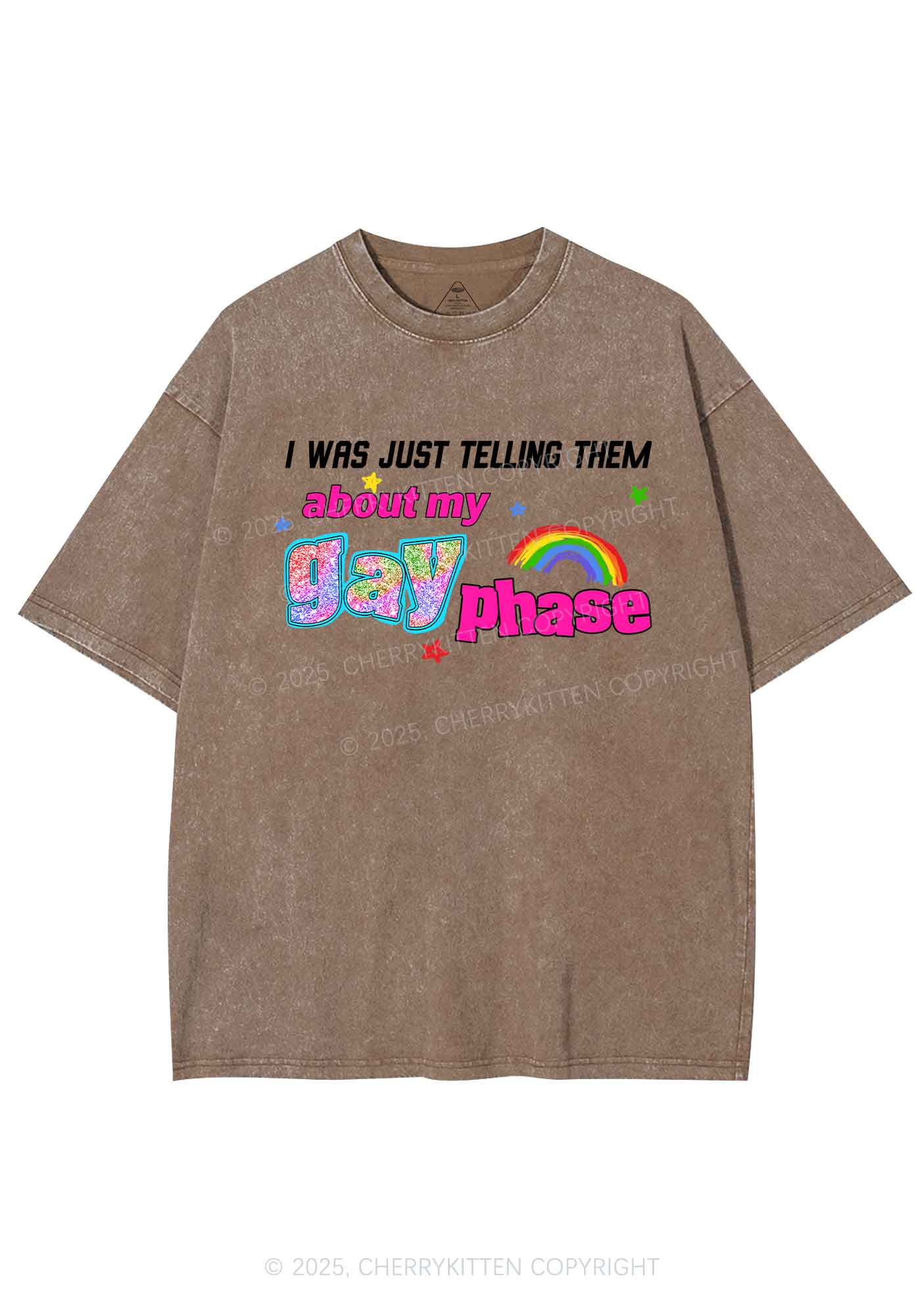 My Gay Phase Pride Y2K Shirts Washed Tee Cherrykitten