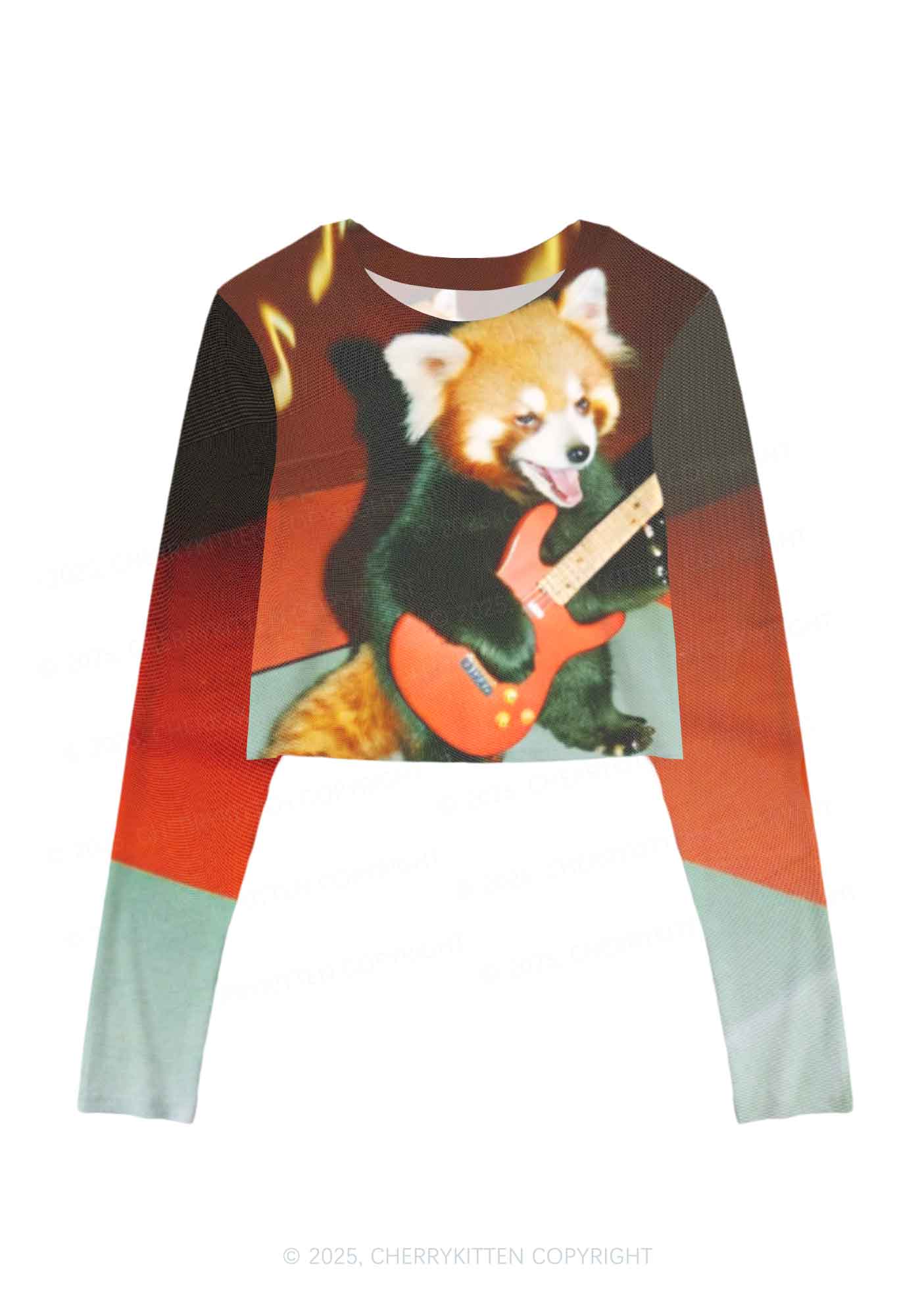 Guitar Raccoon Y2K Mesh Long Sleeve Crop Top Cherrykitten