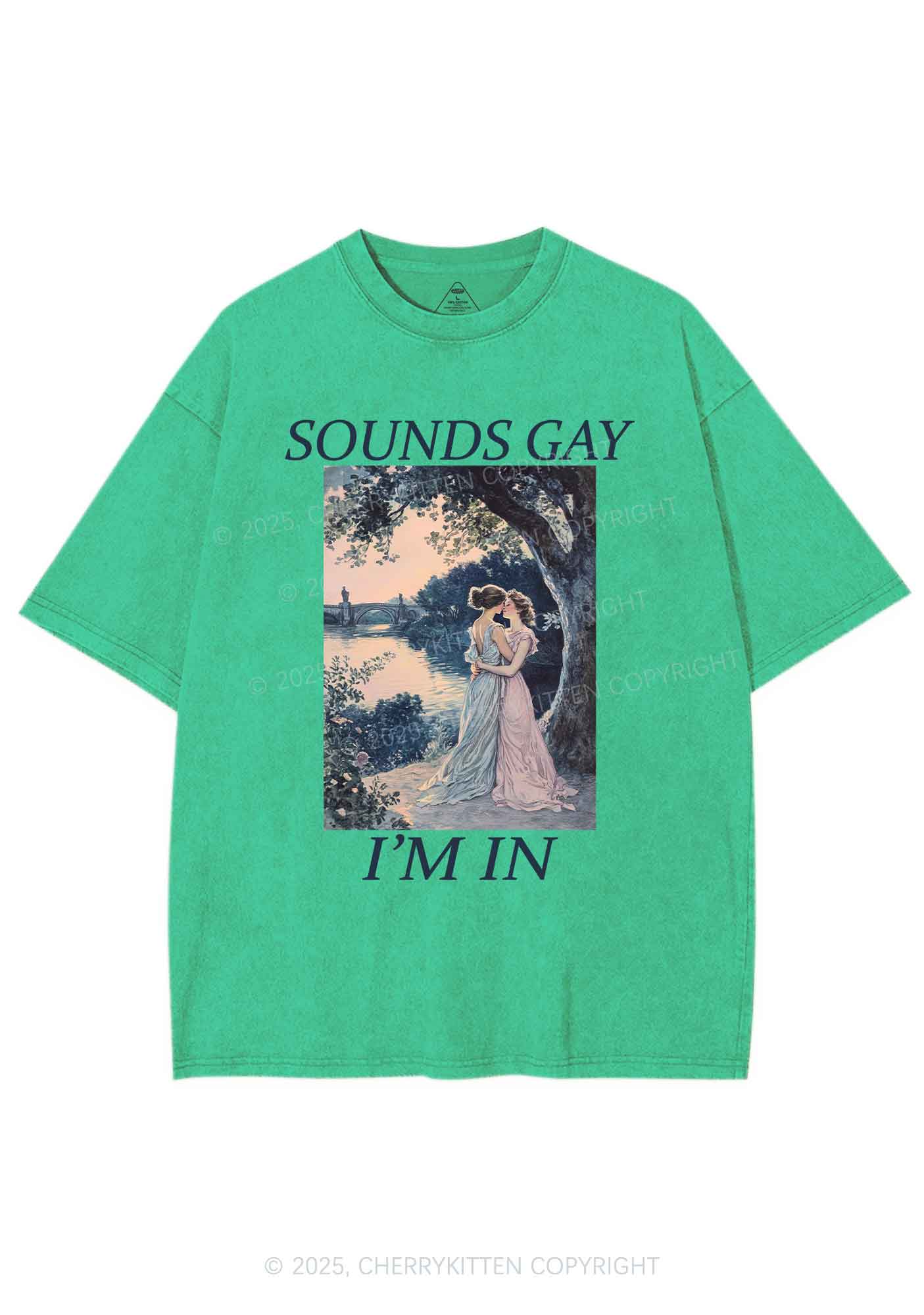 Sounds Gay Im In Pride Y2K Shirts Washed Tee Cherrykitten