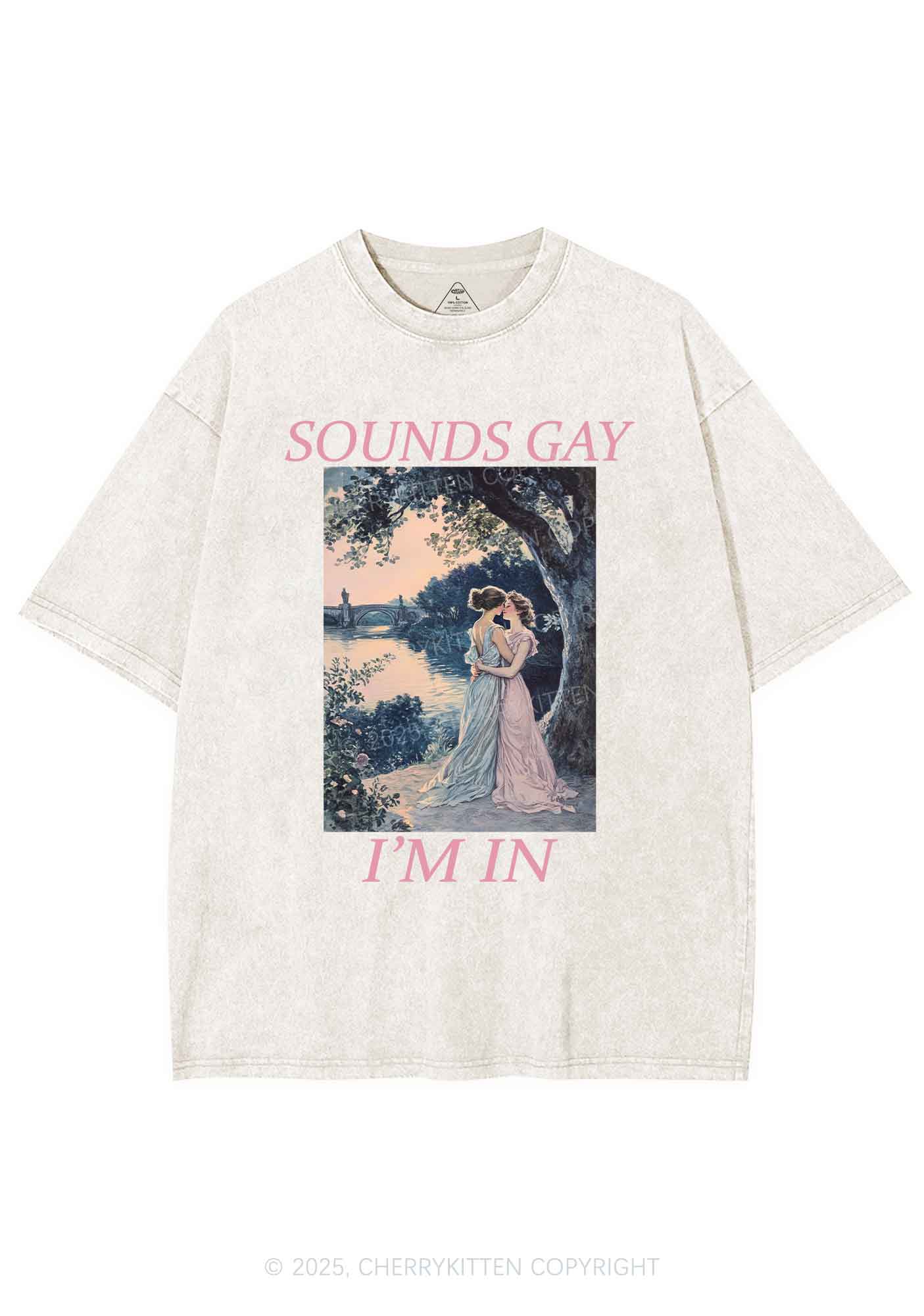 Sounds Gay Im In Pride Y2K Shirts Washed Tee Cherrykitten