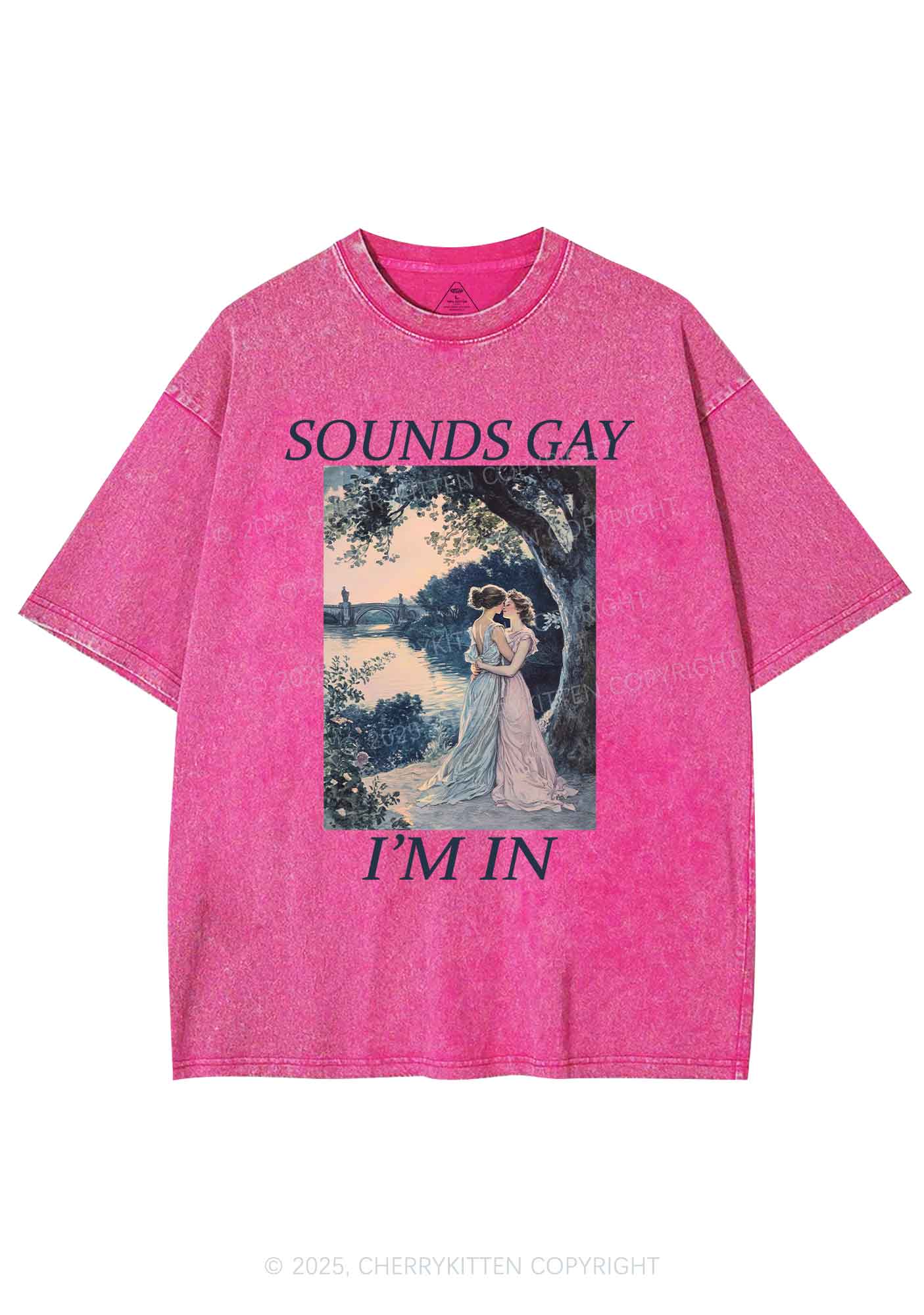 Sounds Gay Im In Pride Y2K Shirts Washed Tee Cherrykitten