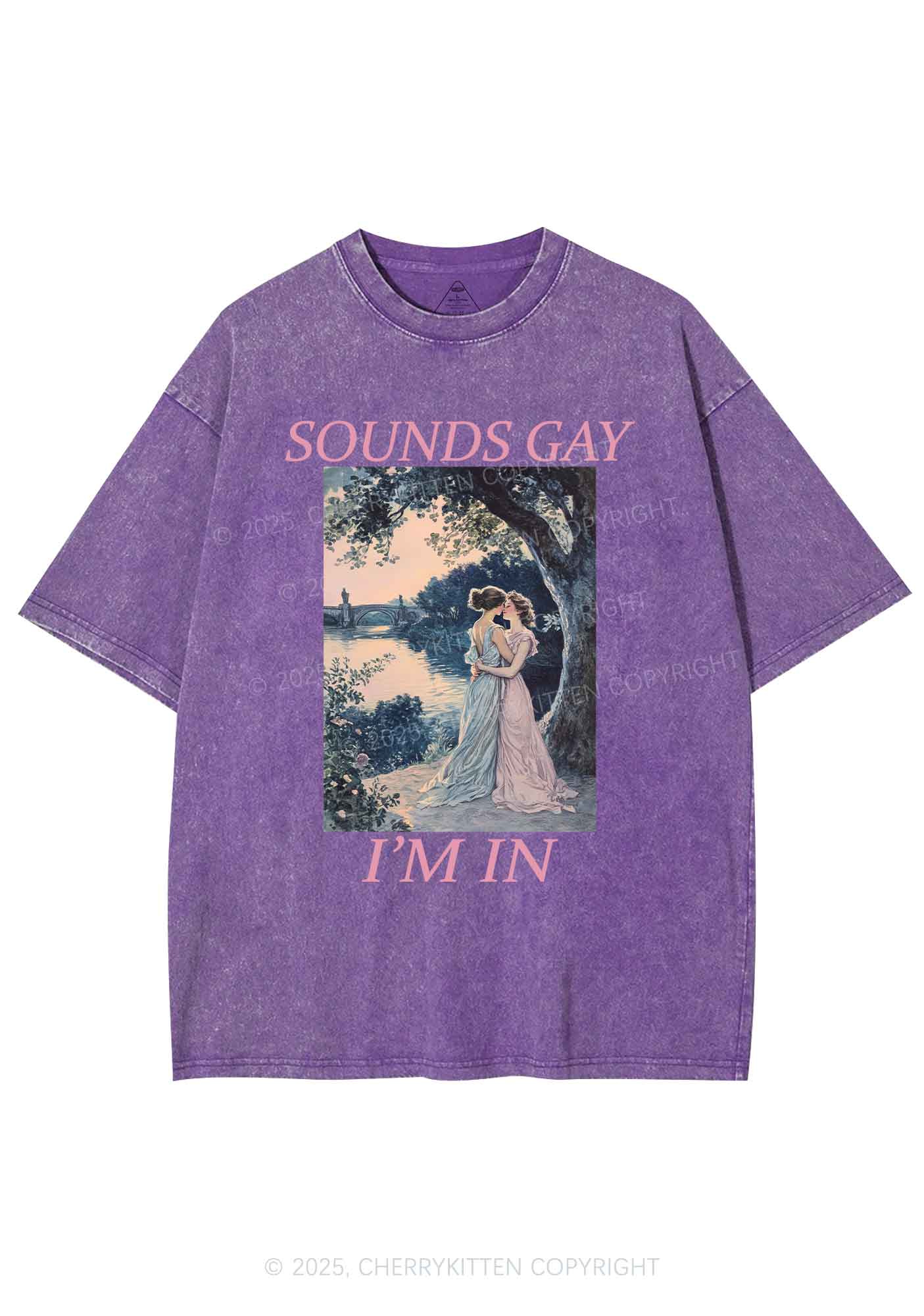 Sounds Gay Im In Pride Y2K Shirts Washed Tee Cherrykitten