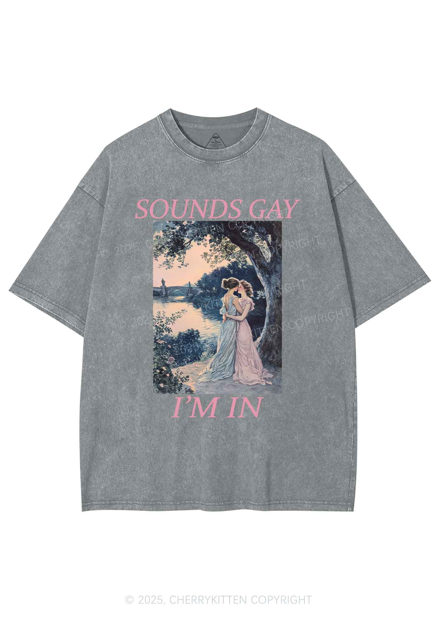 Sounds Gay Im In Pride Y2K Shirts Washed Tee Cherrykitten
