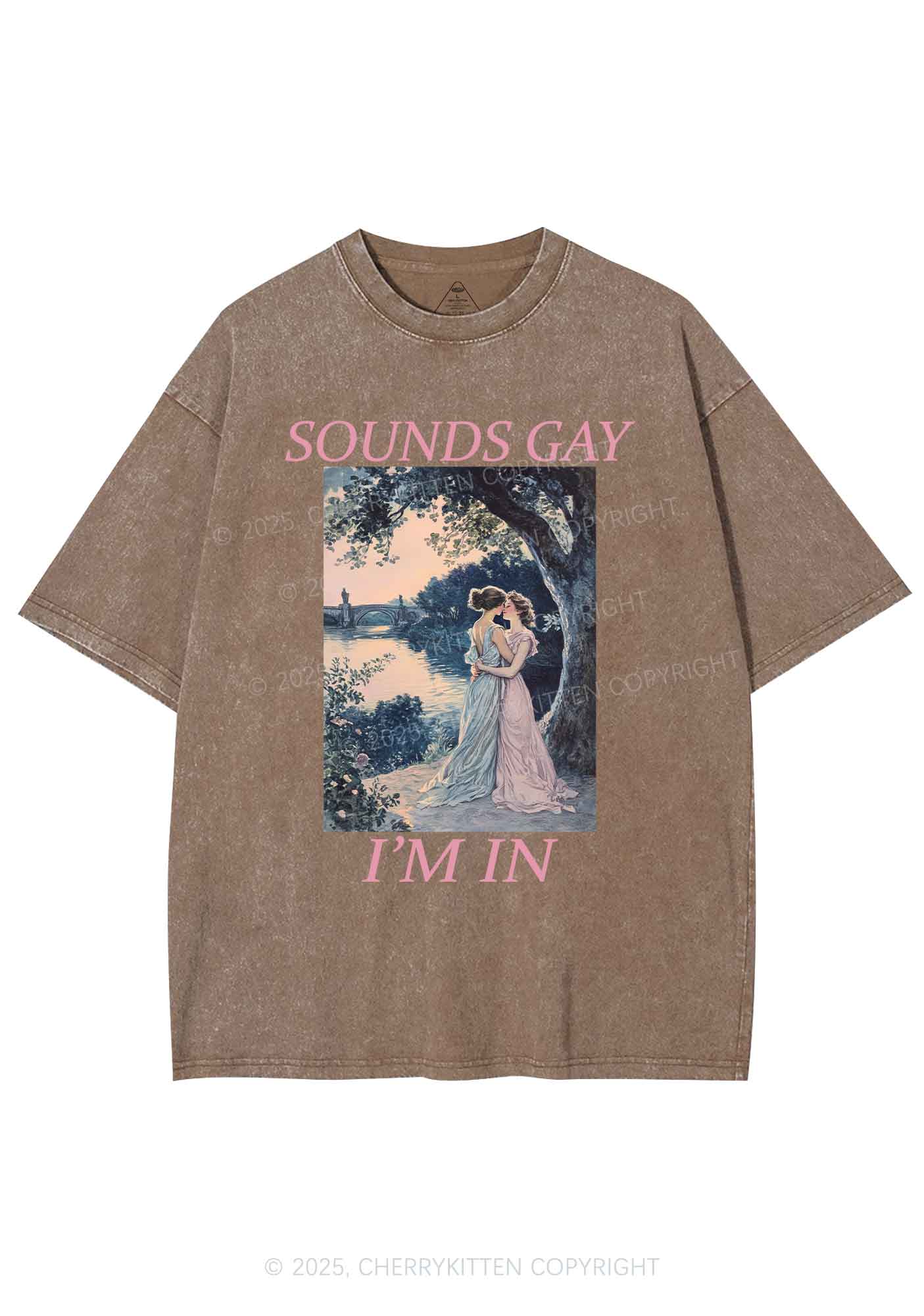 Sounds Gay Im In Pride Y2K Shirts Washed Tee Cherrykitten