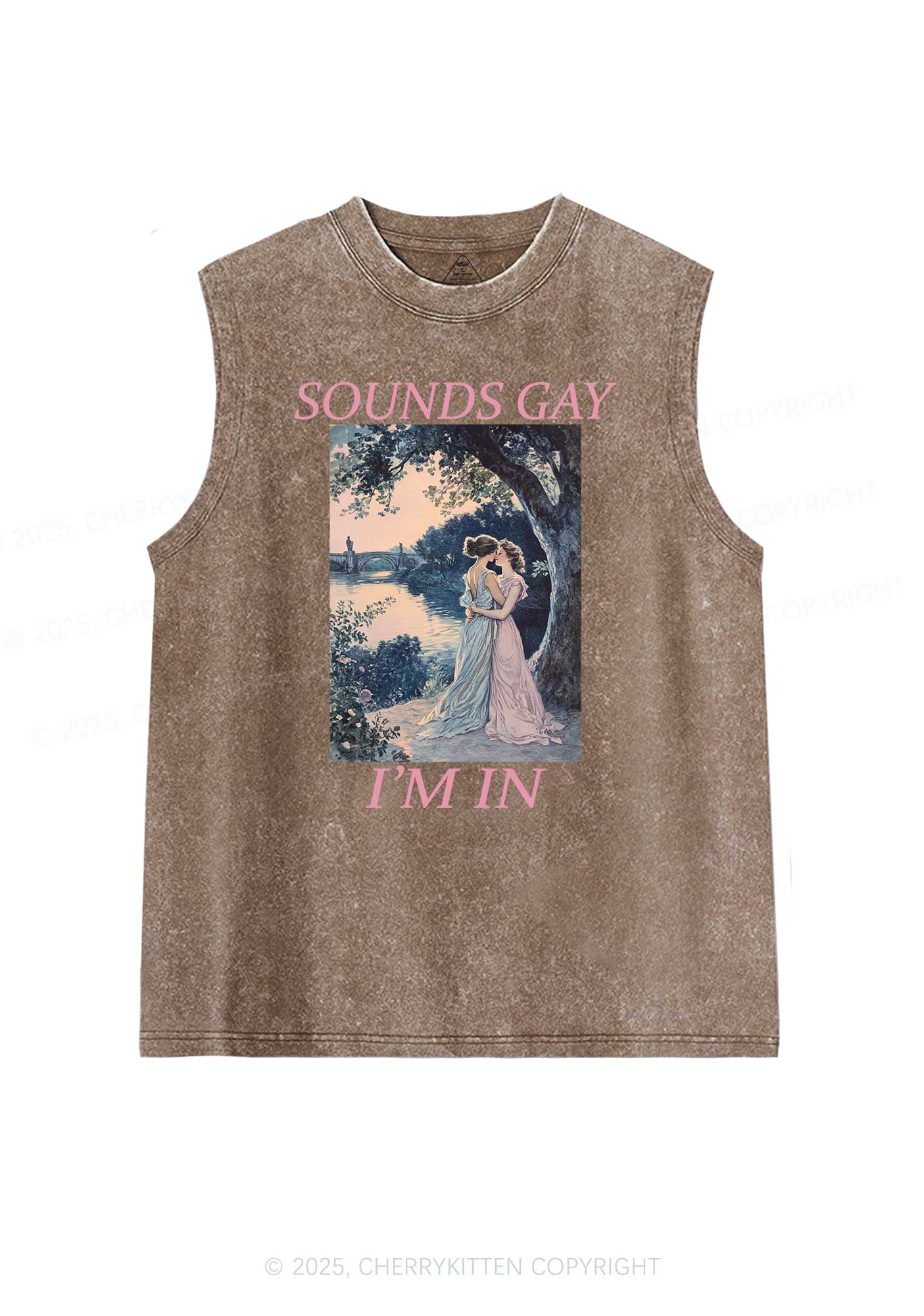 Sounds Gay Im In Pride Y2K Washed Muscle Tank Cherrykitten