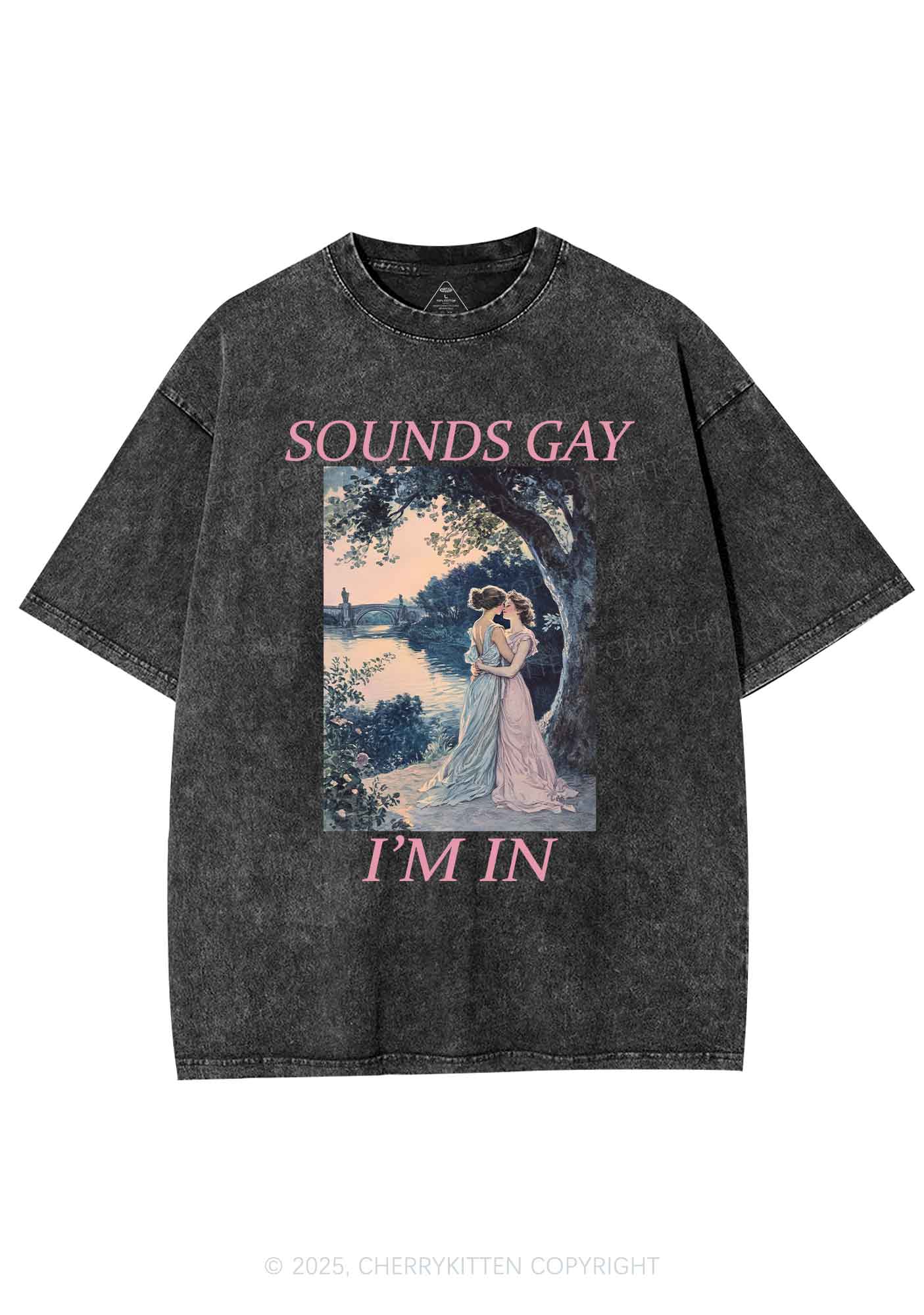 Sounds Gay Im In Pride Y2K Shirts Washed Tee Cherrykitten