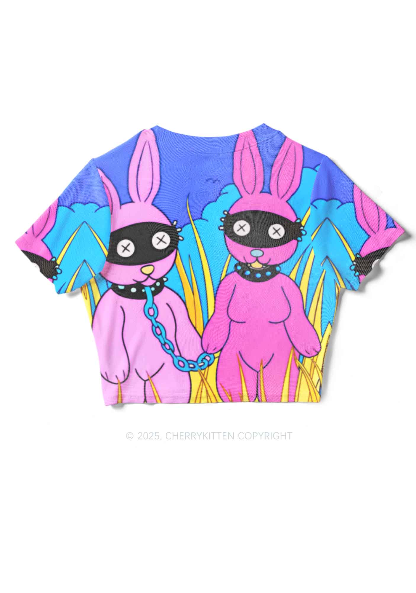 BDSM Bunny Y2K Mesh Crop Top Cherrykitten