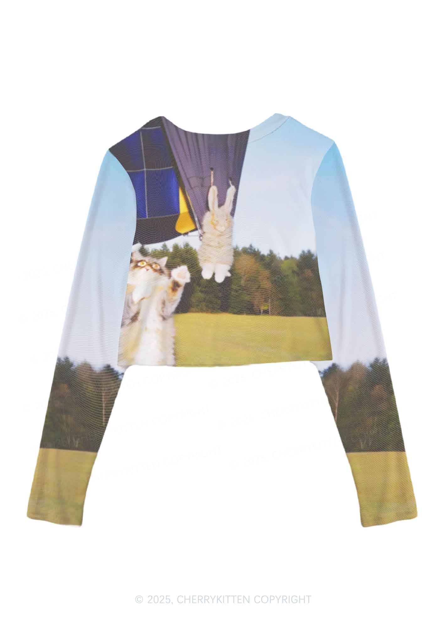 Kitten Camping Y2K Mesh Long Sleeve Crop Top Cherrykitten