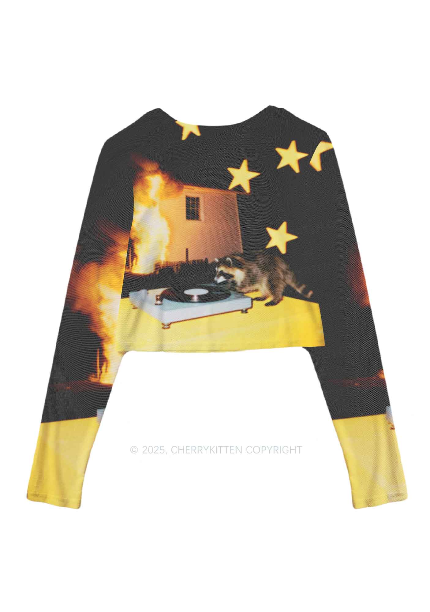 DJ Raccoon Y2K Mesh Long Sleeve Crop Top Cherrykitten