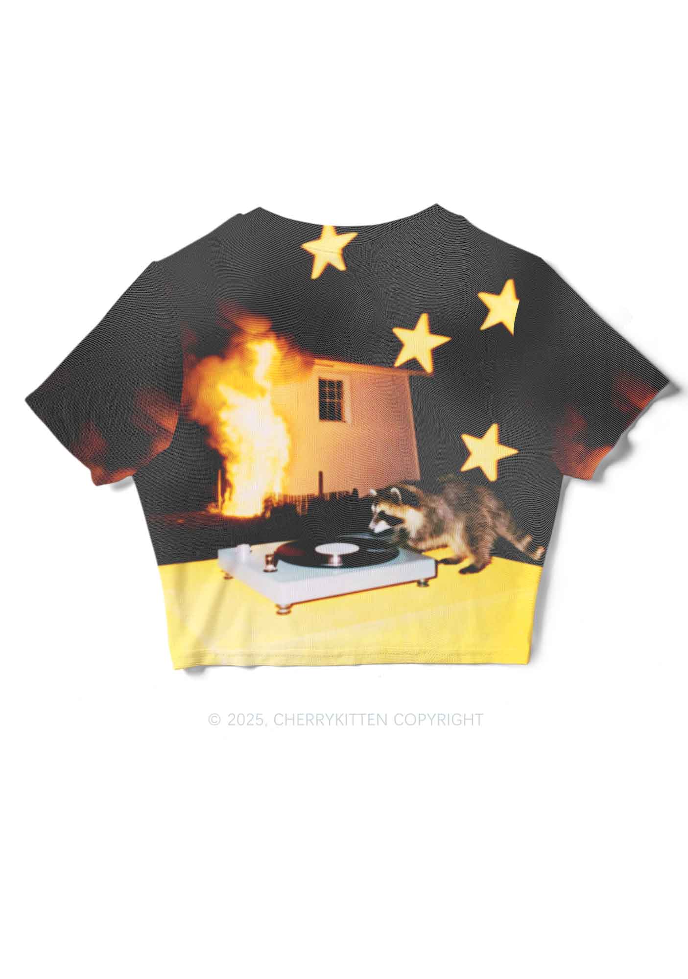 DJ Raccoon Y2K Mesh Crop Top Cherrykitten