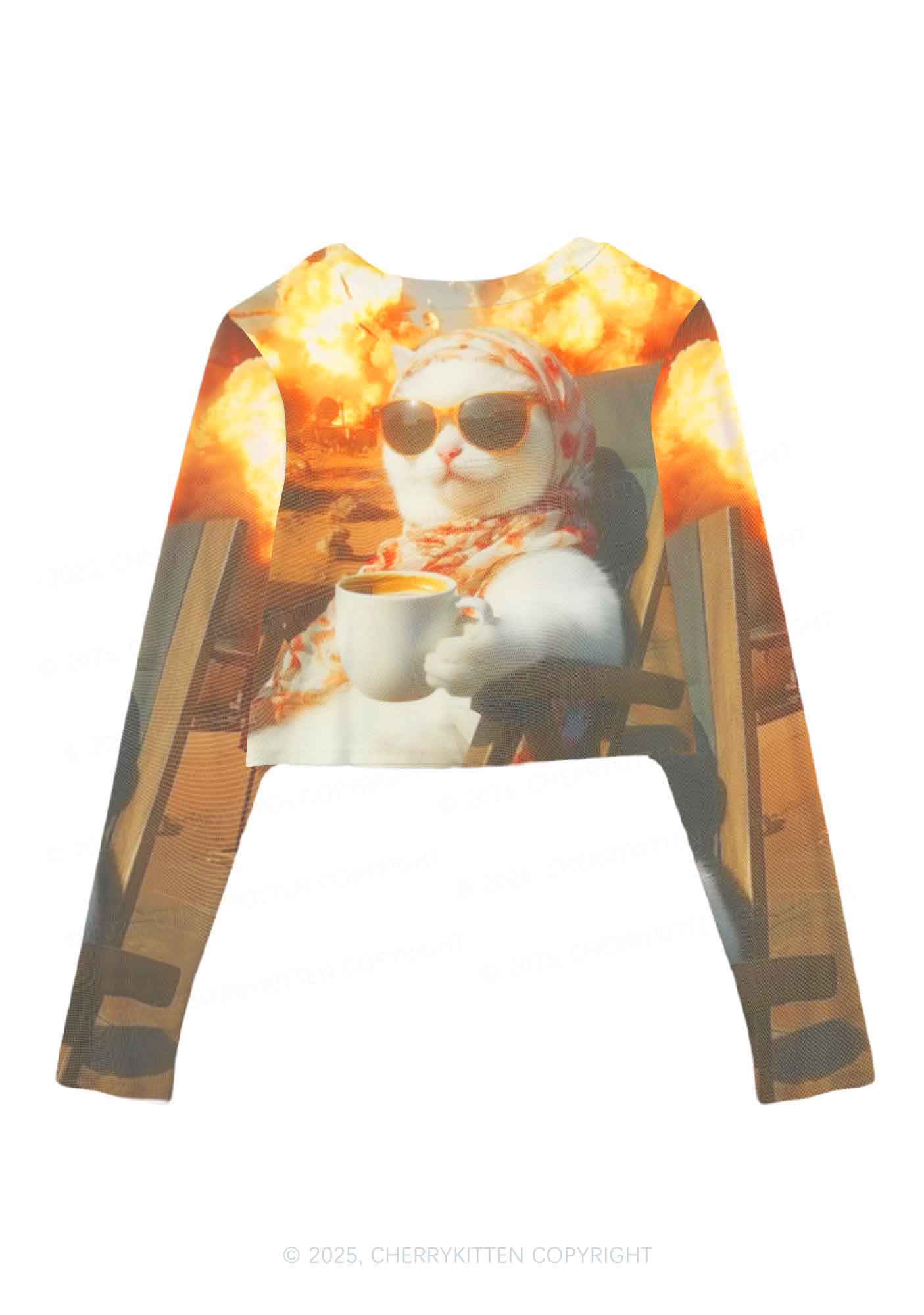 Cool Cat Enjoying Coffee Y2K Mesh Long Sleeve Crop Top Cherrykitten