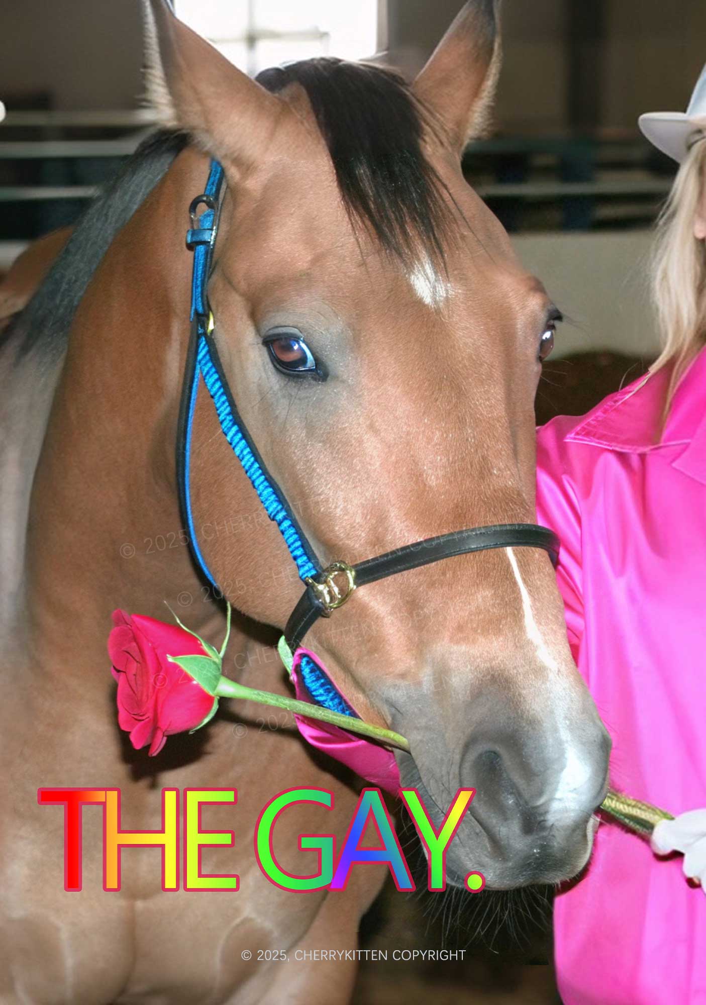 The Gay Horse Y2K Print Slip Dress Cherrykitten