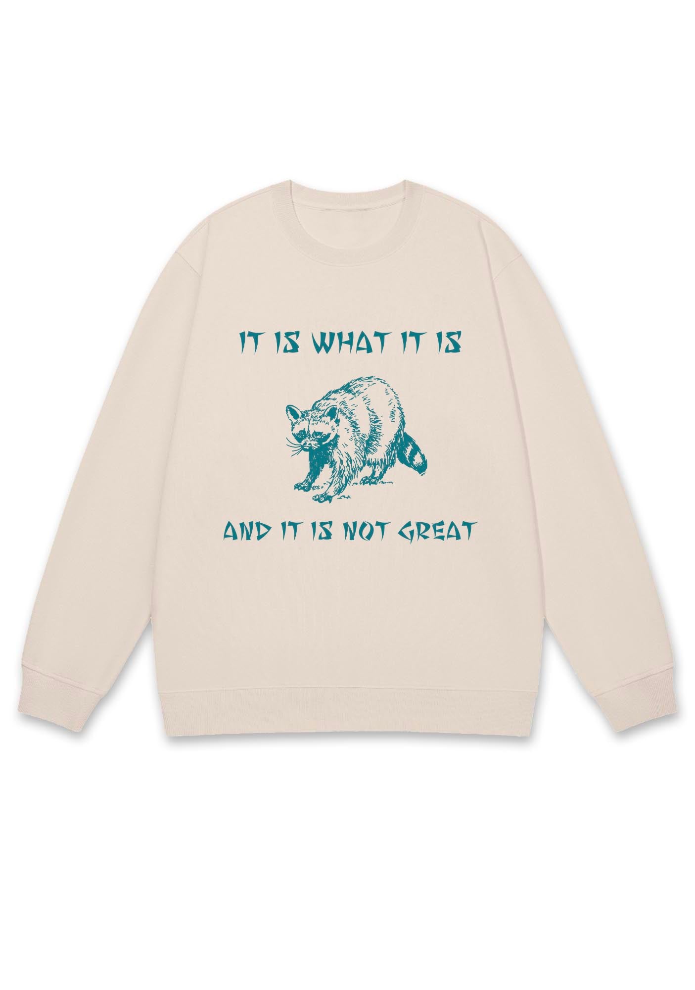 It Is What It Is And It Is Not Great Y2K Sweatshirt