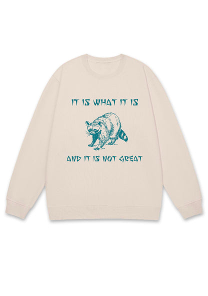 It Is What It Is And It Is Not Great Y2K Sweatshirt