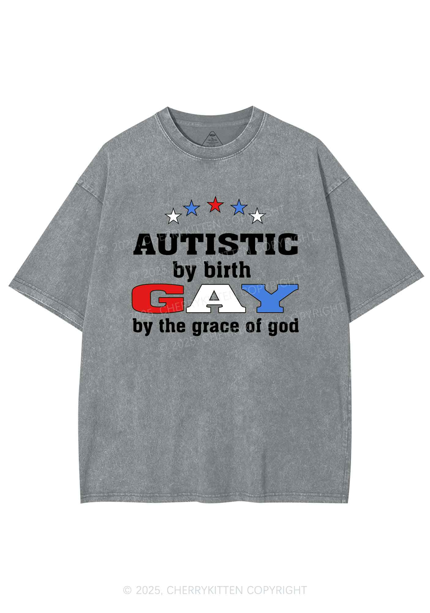Autistic By Birth Gay Pride Y2K Shirts Washed Tee Cherrykitten