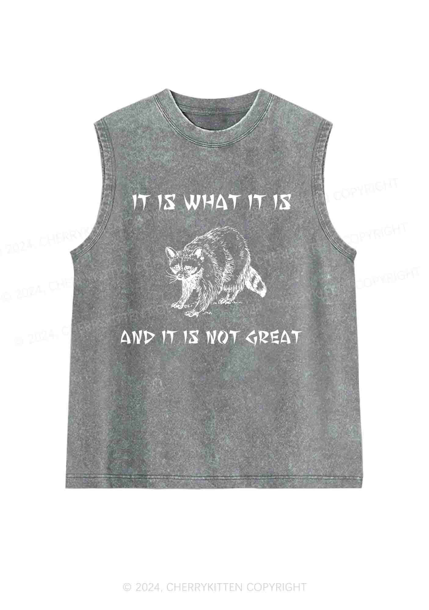It Is What It Is And It Is Not Great Y2K Washed Tank Cherrykitten