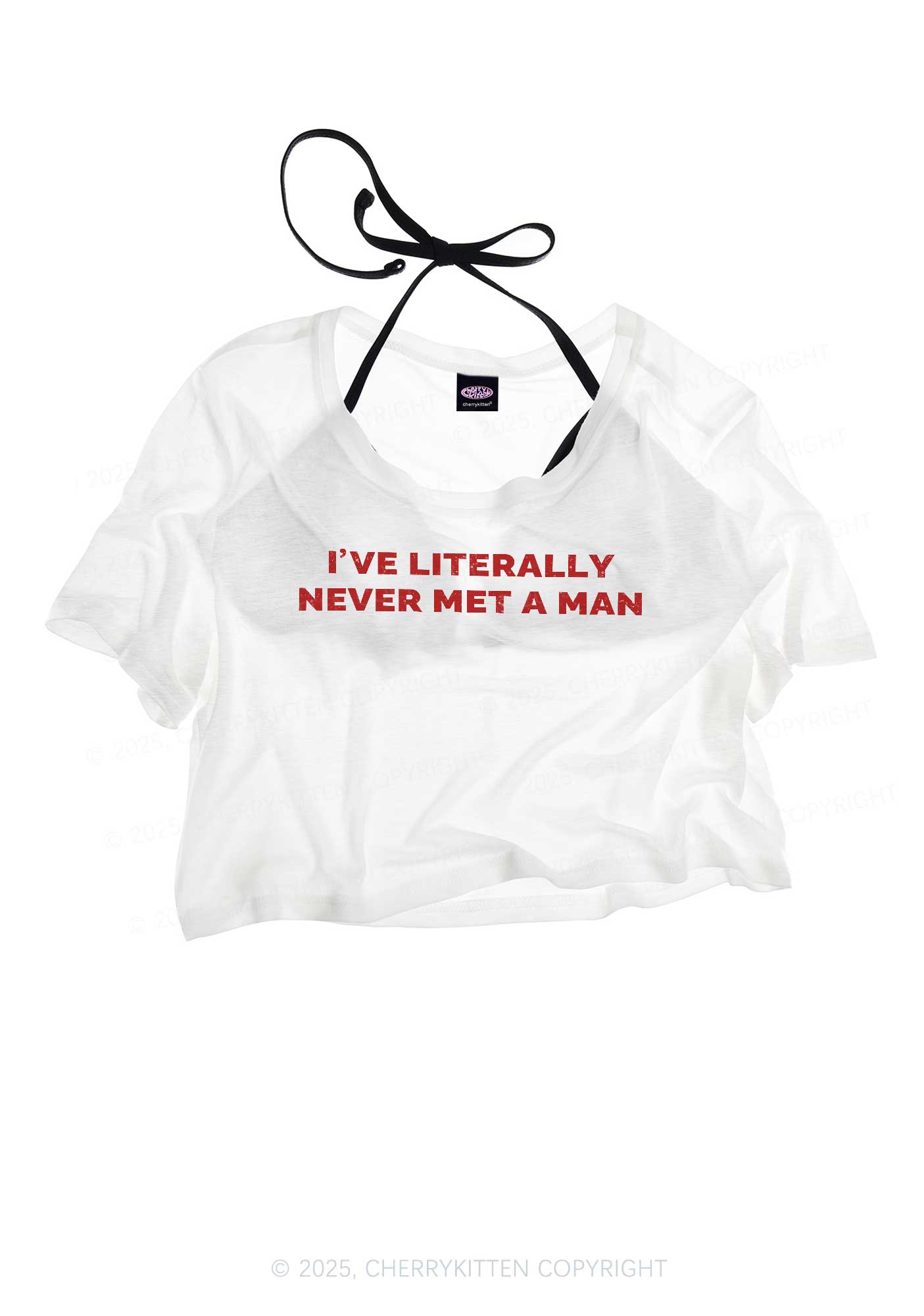 Never Met A Man Pride Y2K Sheer Crop Tee Cherrykitten