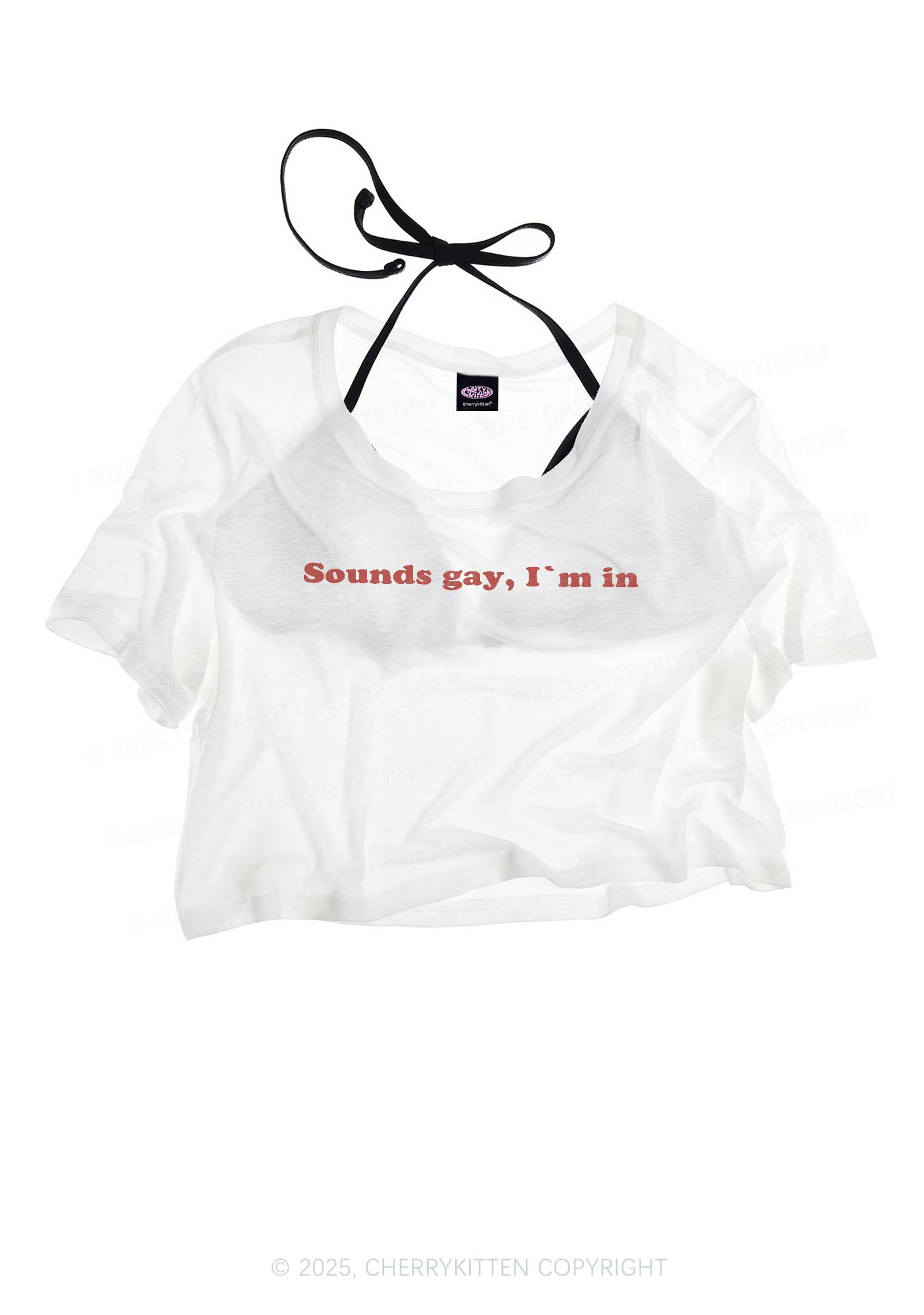 Sounds Gay Pride Y2K Sheer Crop Tee Cherrykitten