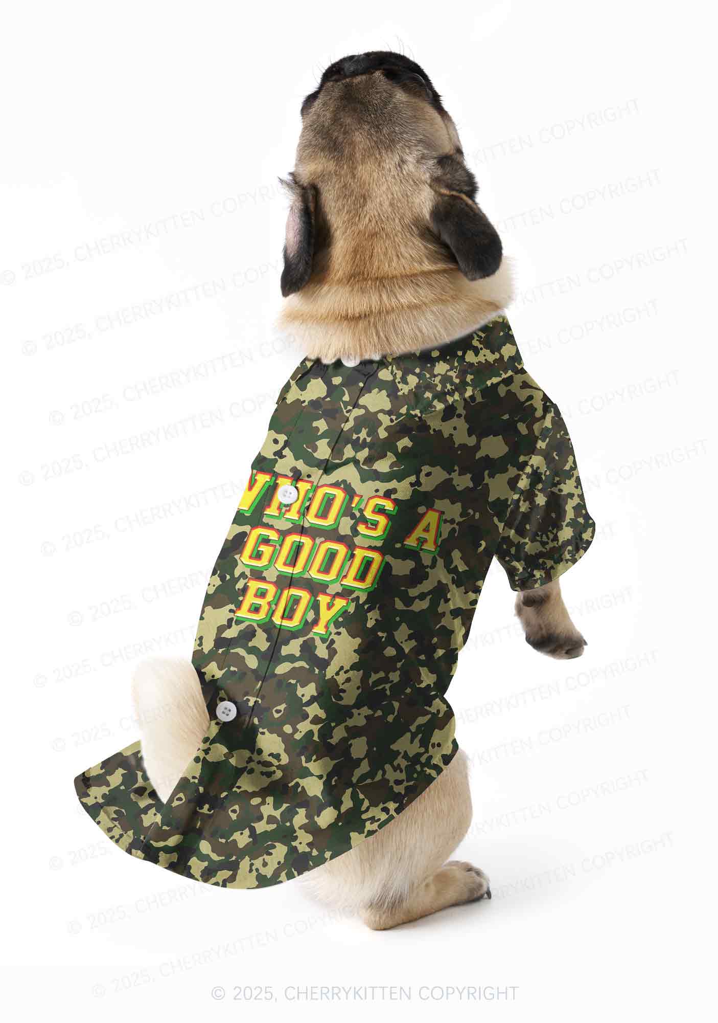 Whos A Good Boy Y2K Pet Shirts Cherrykitten