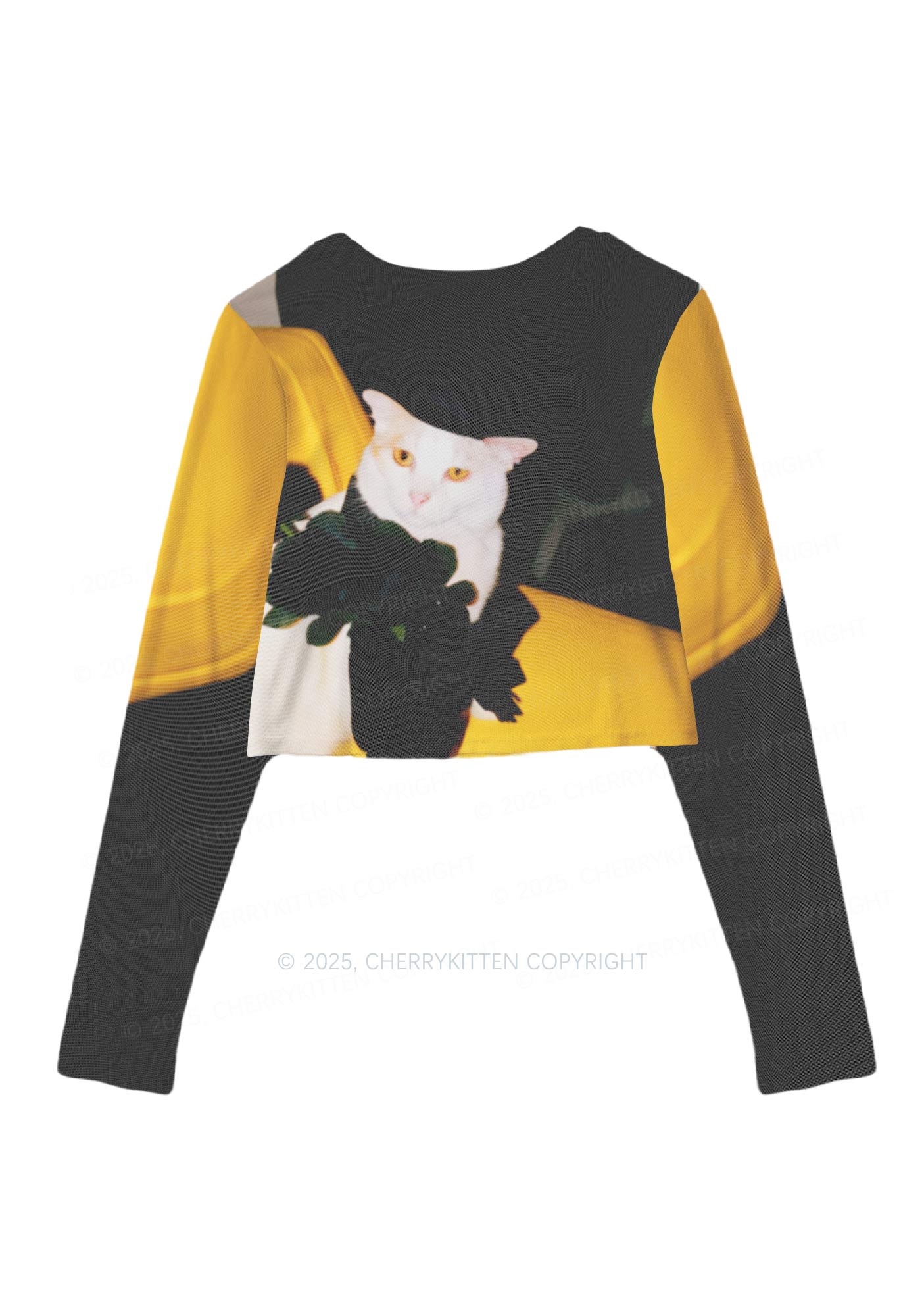 Cat With Black Roses Y2K Mesh Long Sleeve Crop Top Cherrykitten