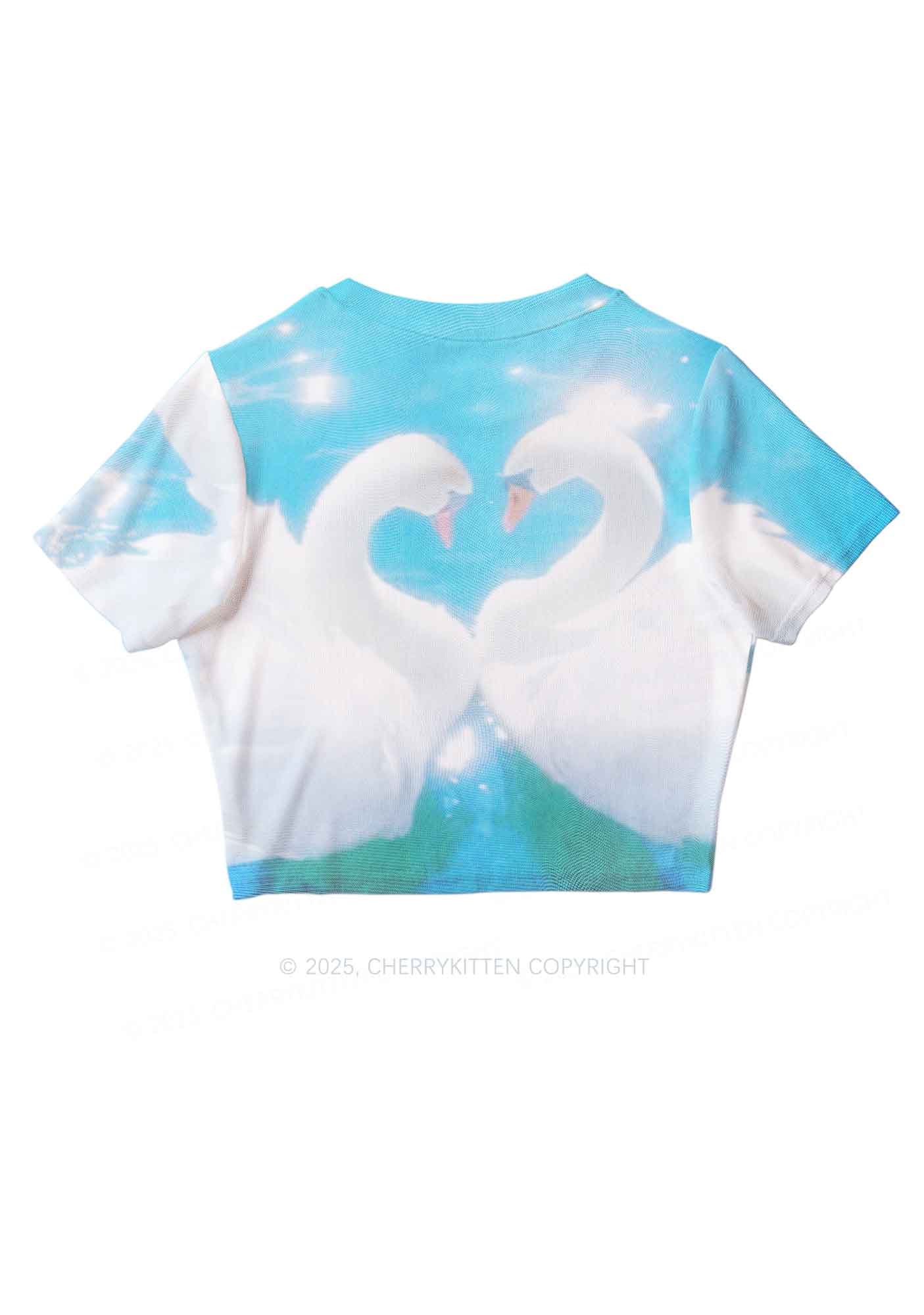 Swan Lovers Y2K Mesh Crop Top Cherrykitten