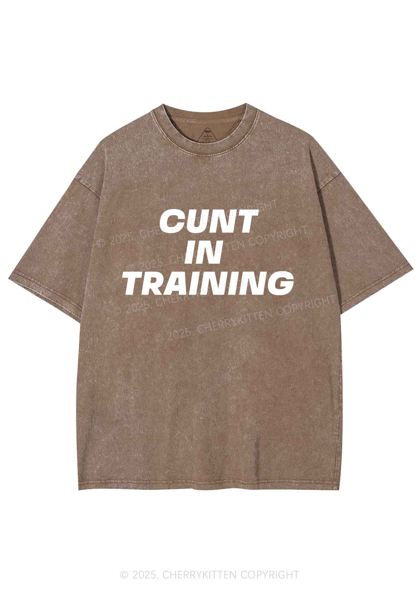 Cxxt In Training Y2K Shirts Washed Tee Cherrykitten