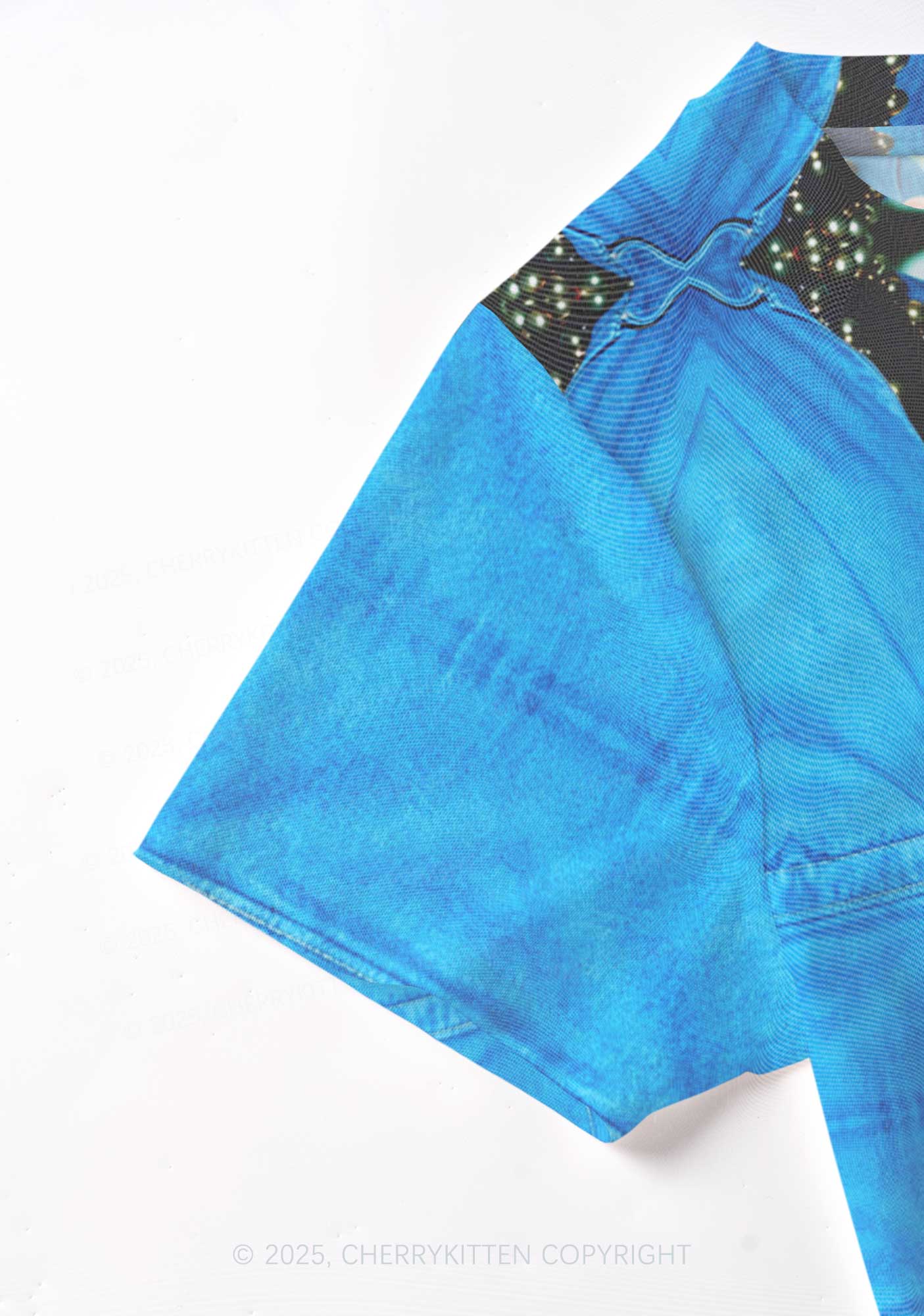 Singer Ratz Y2K Mesh Crop Top Cherrykitten