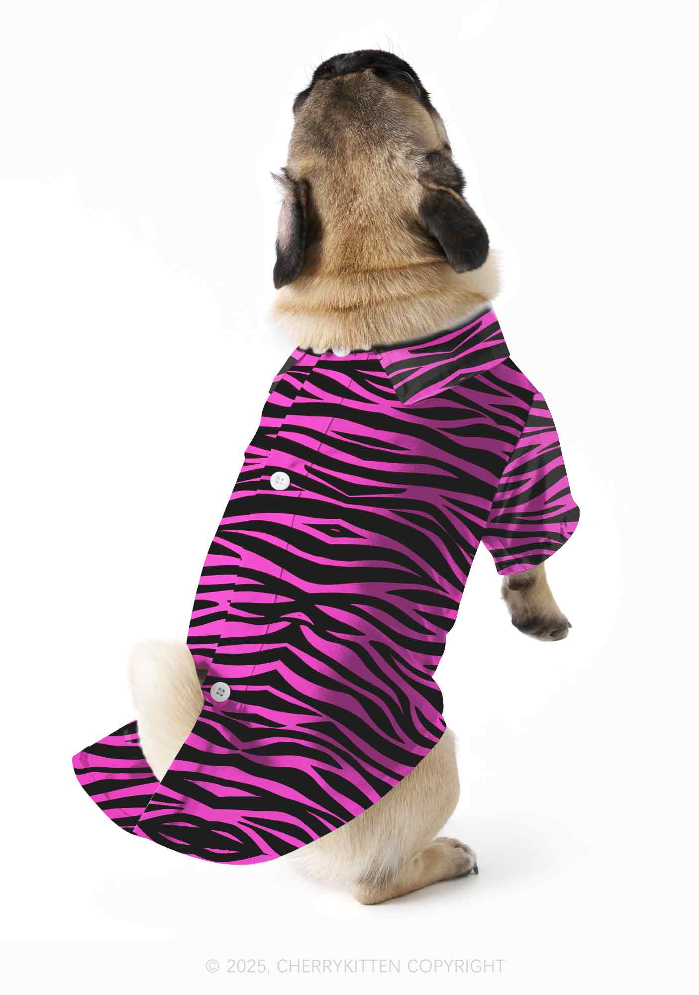 Pink Zebra Y2K Pet Shirts Cherrykitten