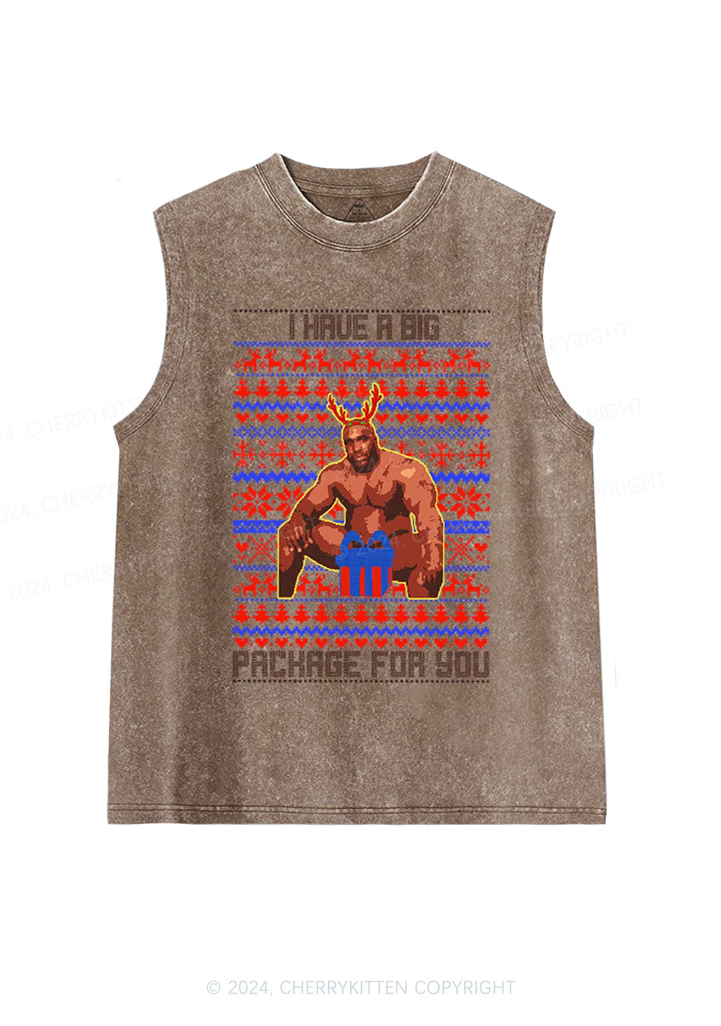 Big Pachage For You Y2K Washed Tank Cherrykitten
