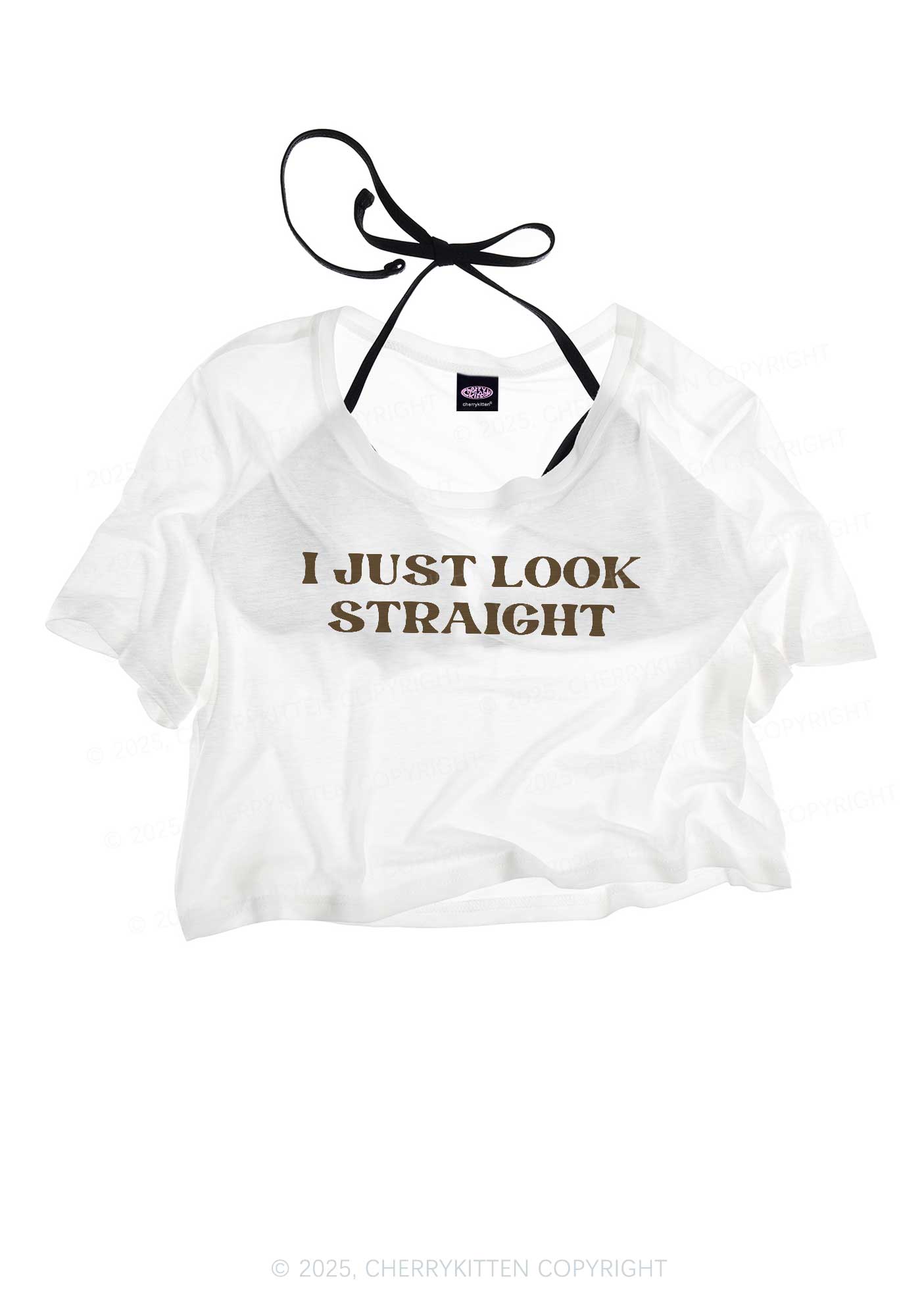 I Just Look Straight Pride Y2K Sheer Crop Tee Cherrykitten