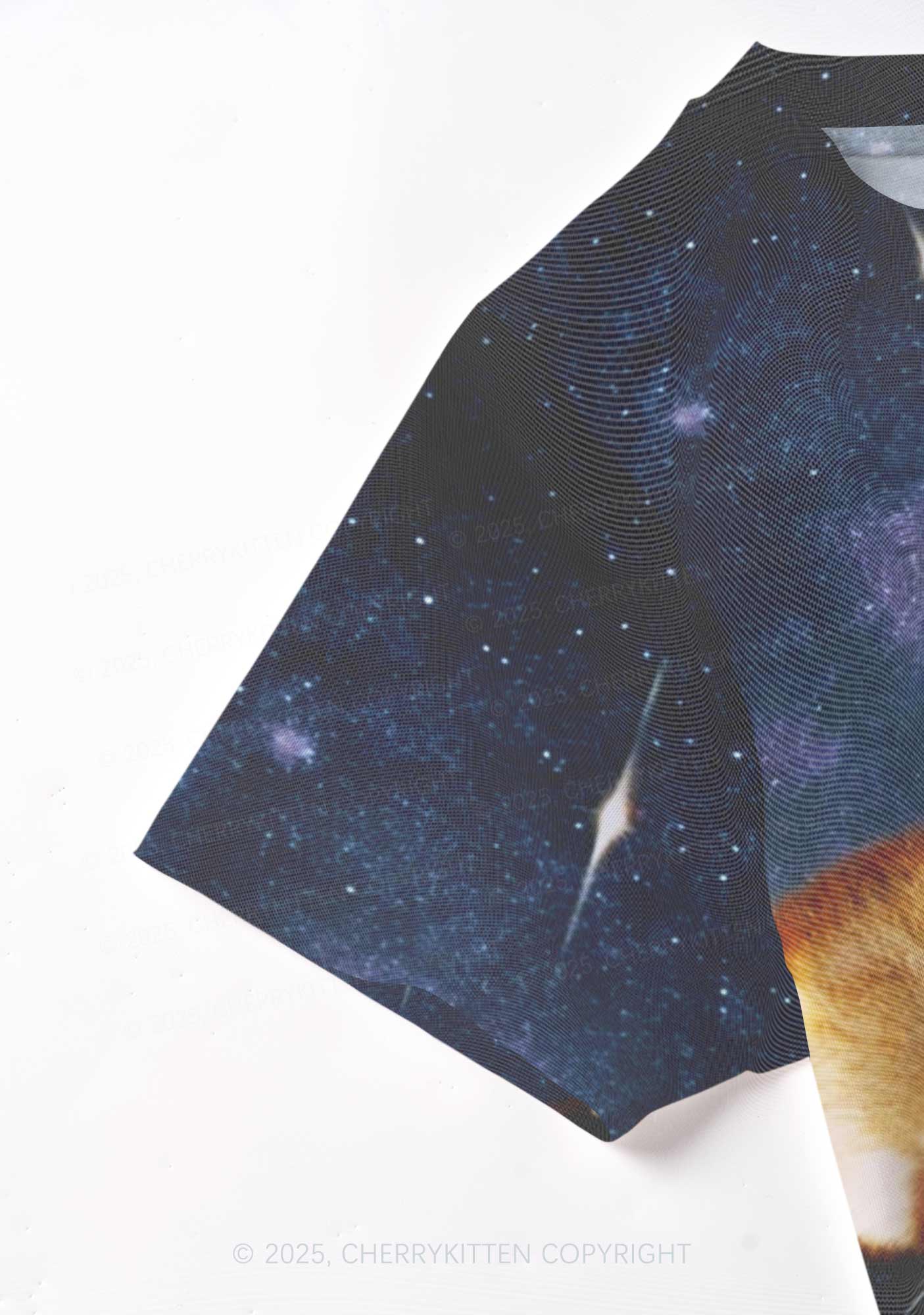 Raccoon Friends Y2K Mesh Crop Top Cherrykitten