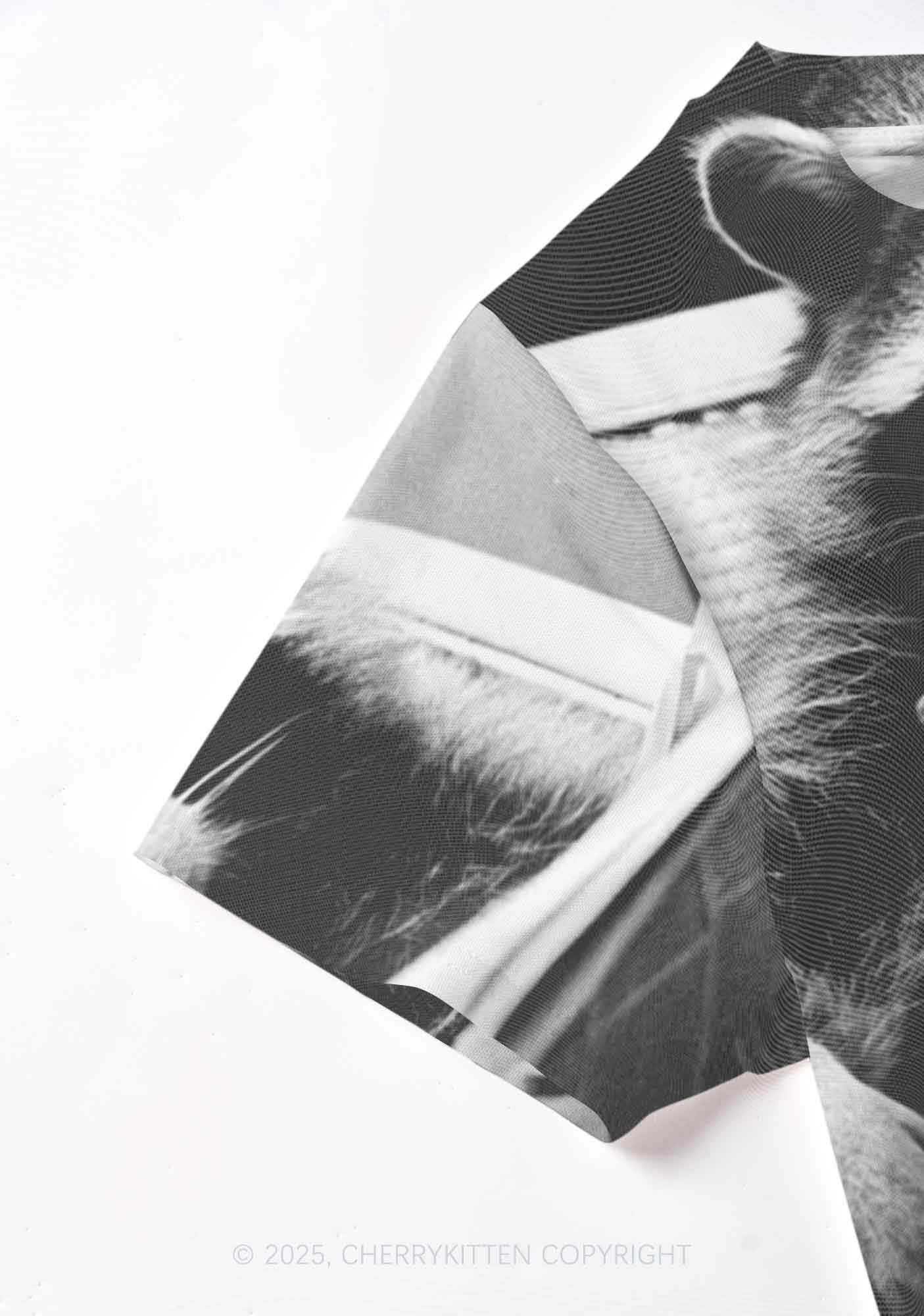 Cool Raccoon Y2K Mesh Crop Top Cherrykitten