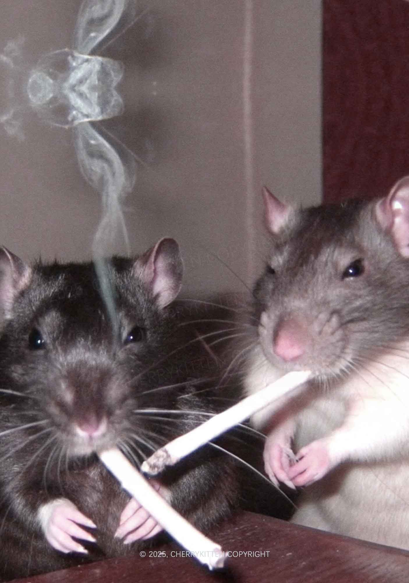 Smoking Rats Y2K Print Midi Skirt Cherrykitten