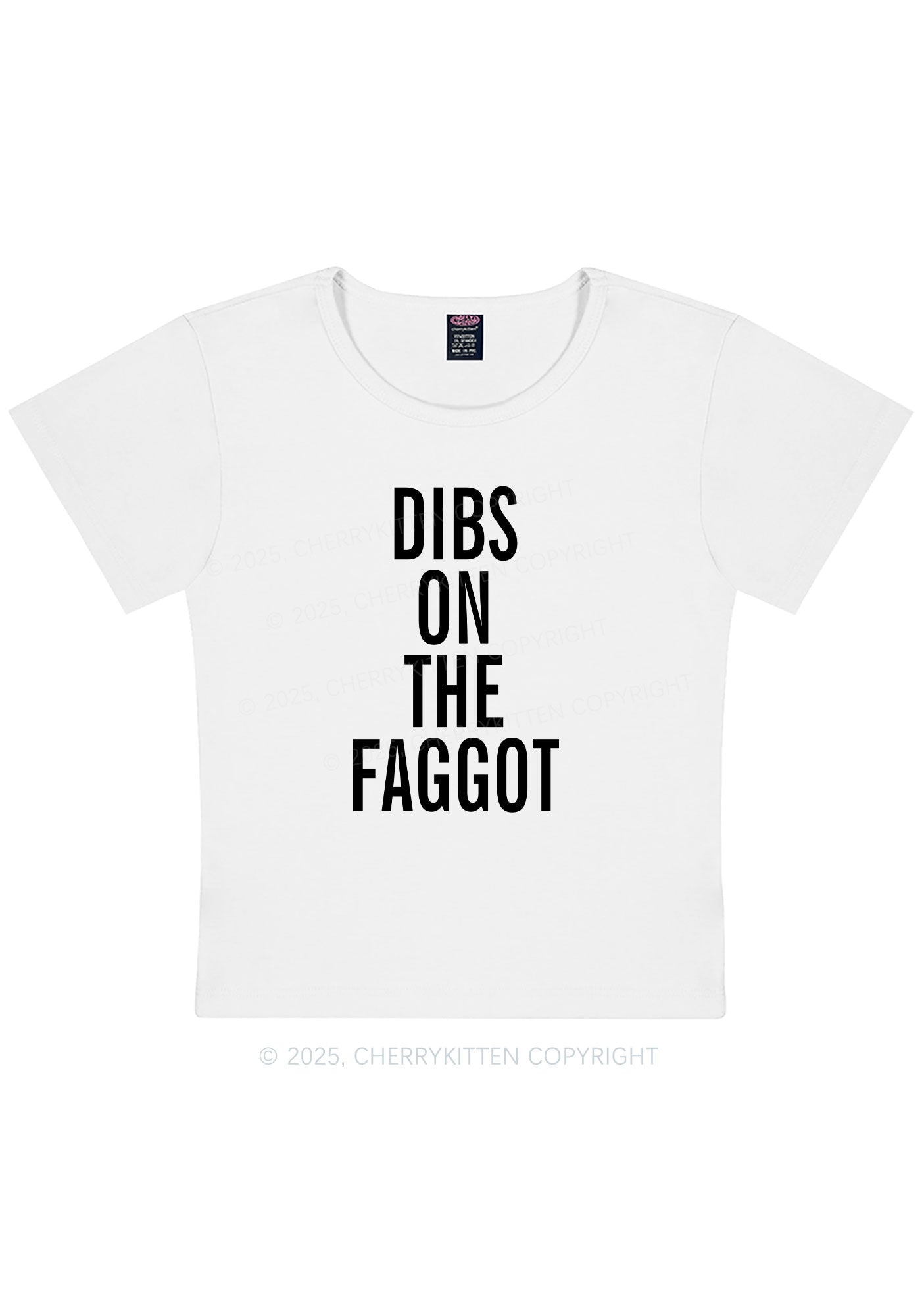 Dibs On The Faggot Pride Y2K Baby Tee Cherrykitten