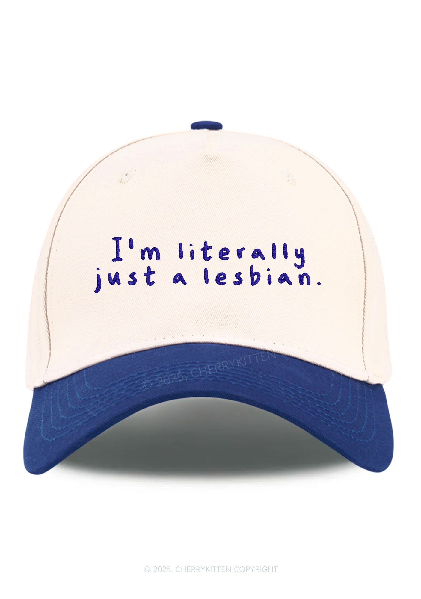 Embroidered Just A Lesbian Pride Y2K Color Block Baseball Cap Cherrykitten