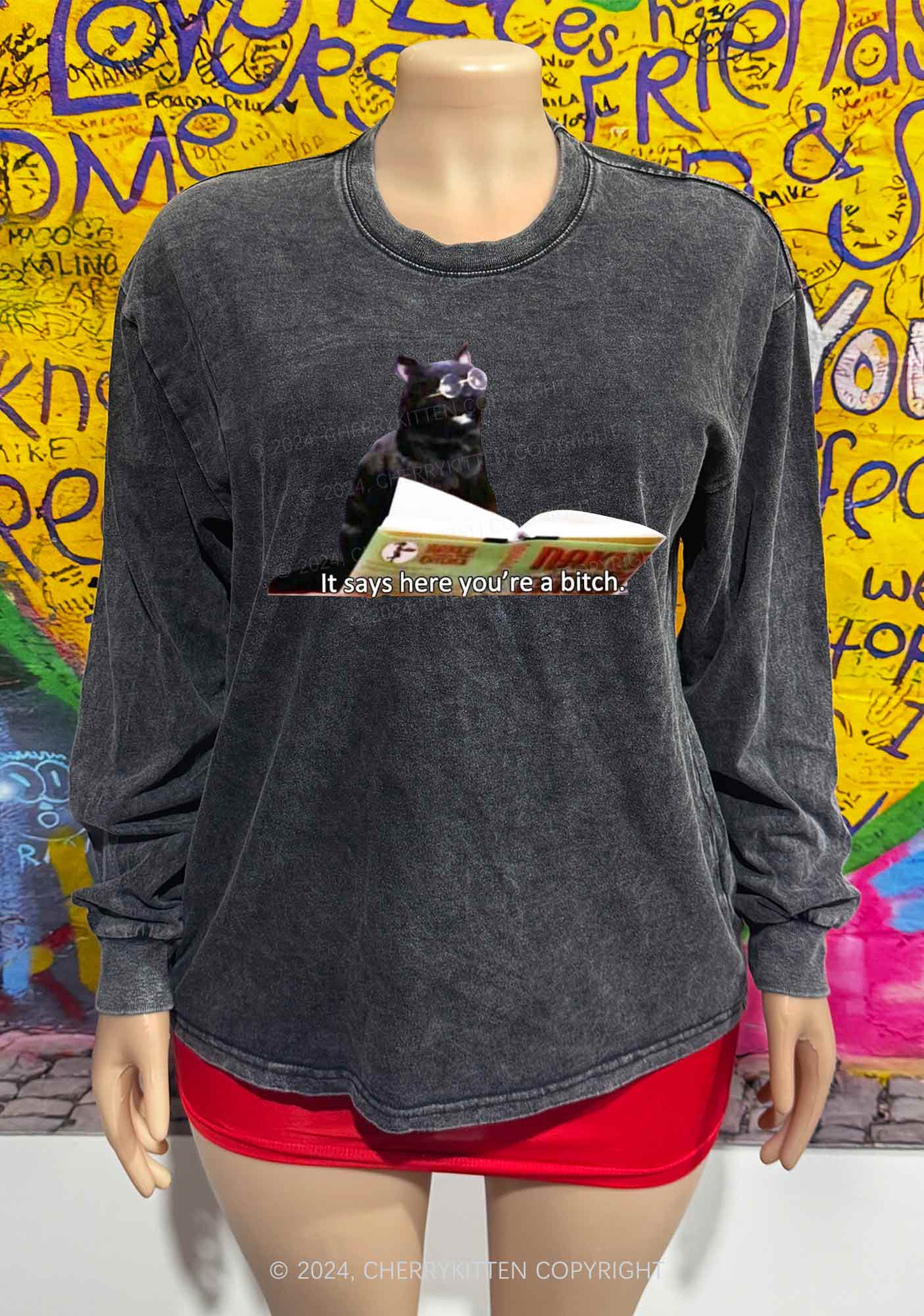It Says Here You're A Bixxh Y2K Washed Long Sleeves Cherrykitten