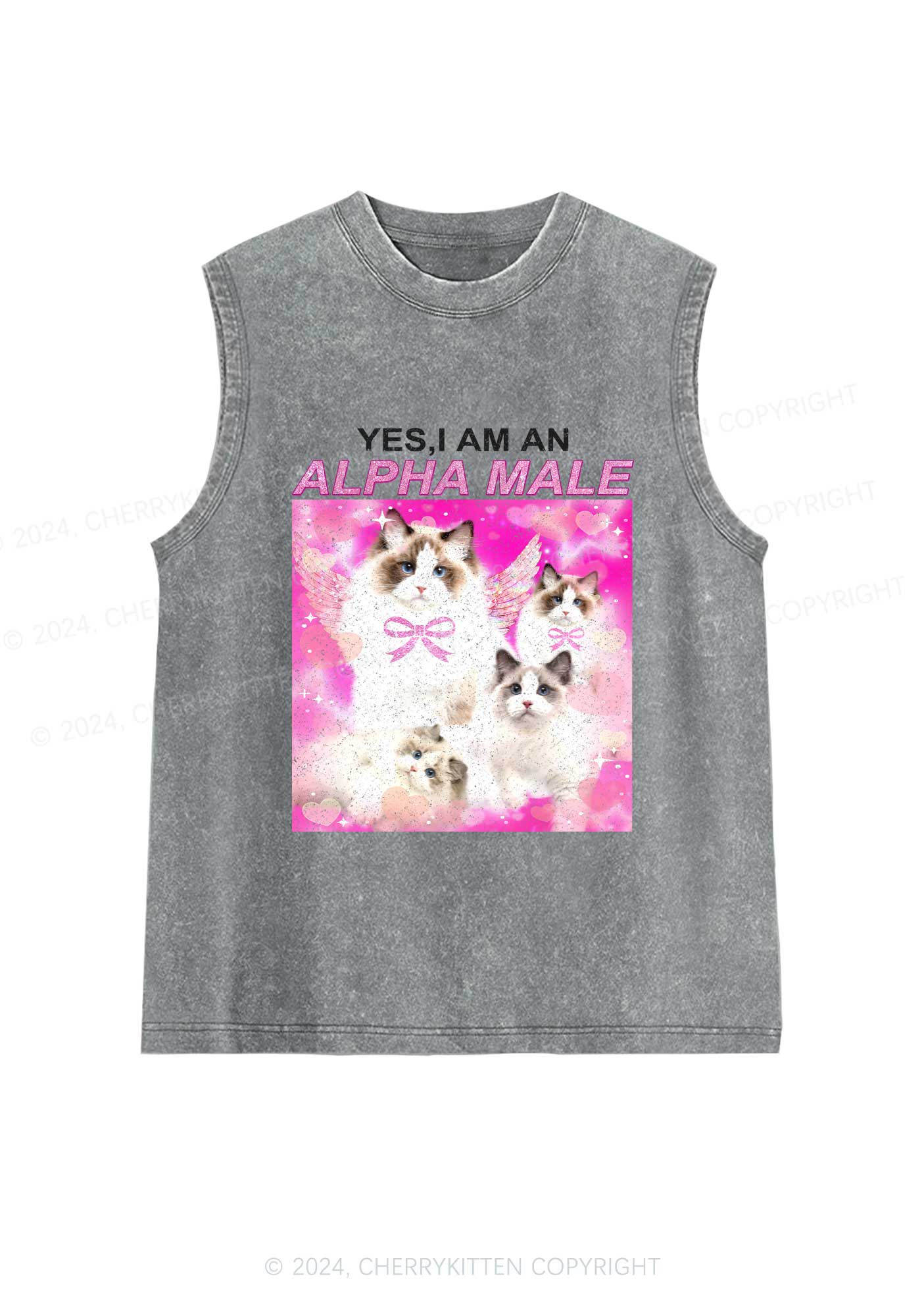 Alpha Male Y2K Washed Tank Cherrykitten