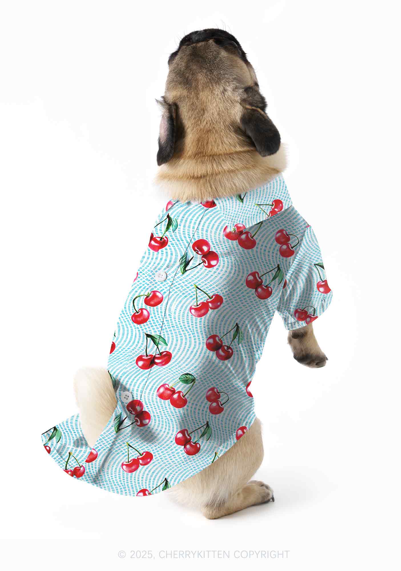 Blue Cherry Y2K Pet Shirts Cherrykitten