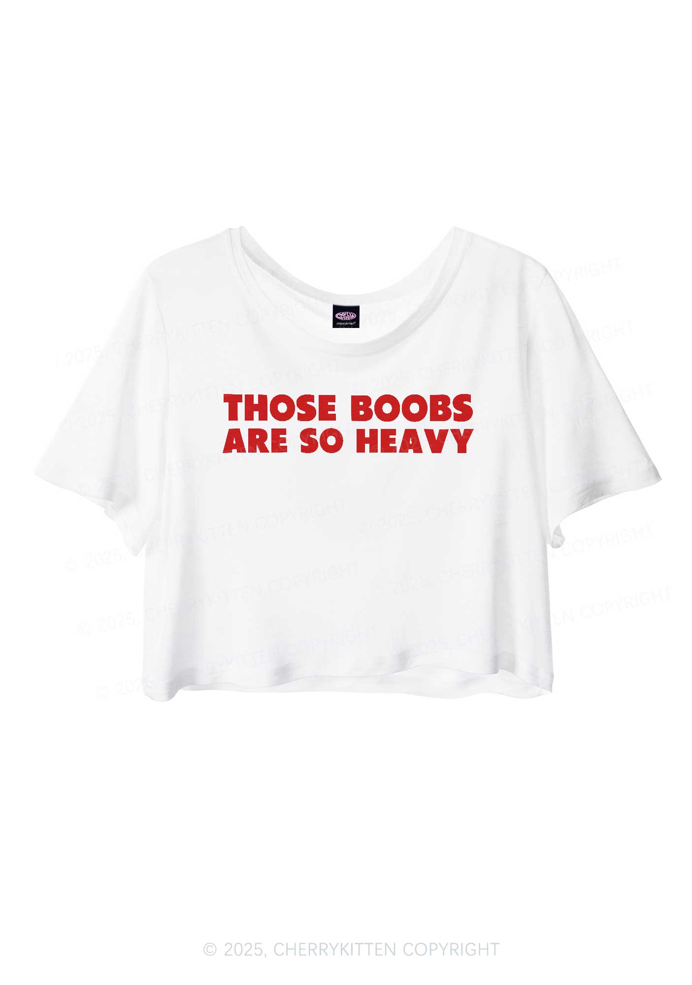 Bxxbs Are So Heavy Y2K Sheer Crop Tee Cherrykitten