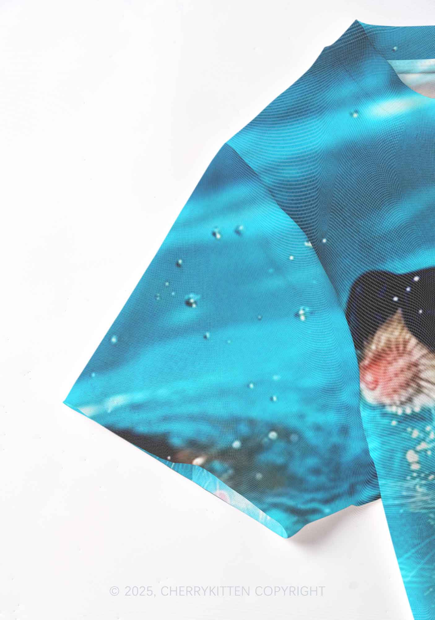 Pool Rats Y2K Mesh Crop Top Cherrykitten