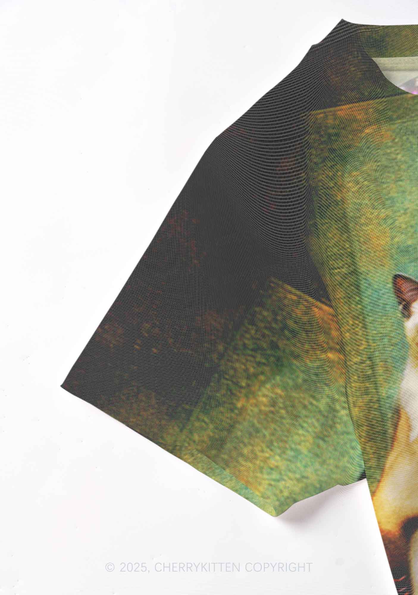 Renaissance Lady With Cat Y2K Mesh Crop Top Cherrykitten