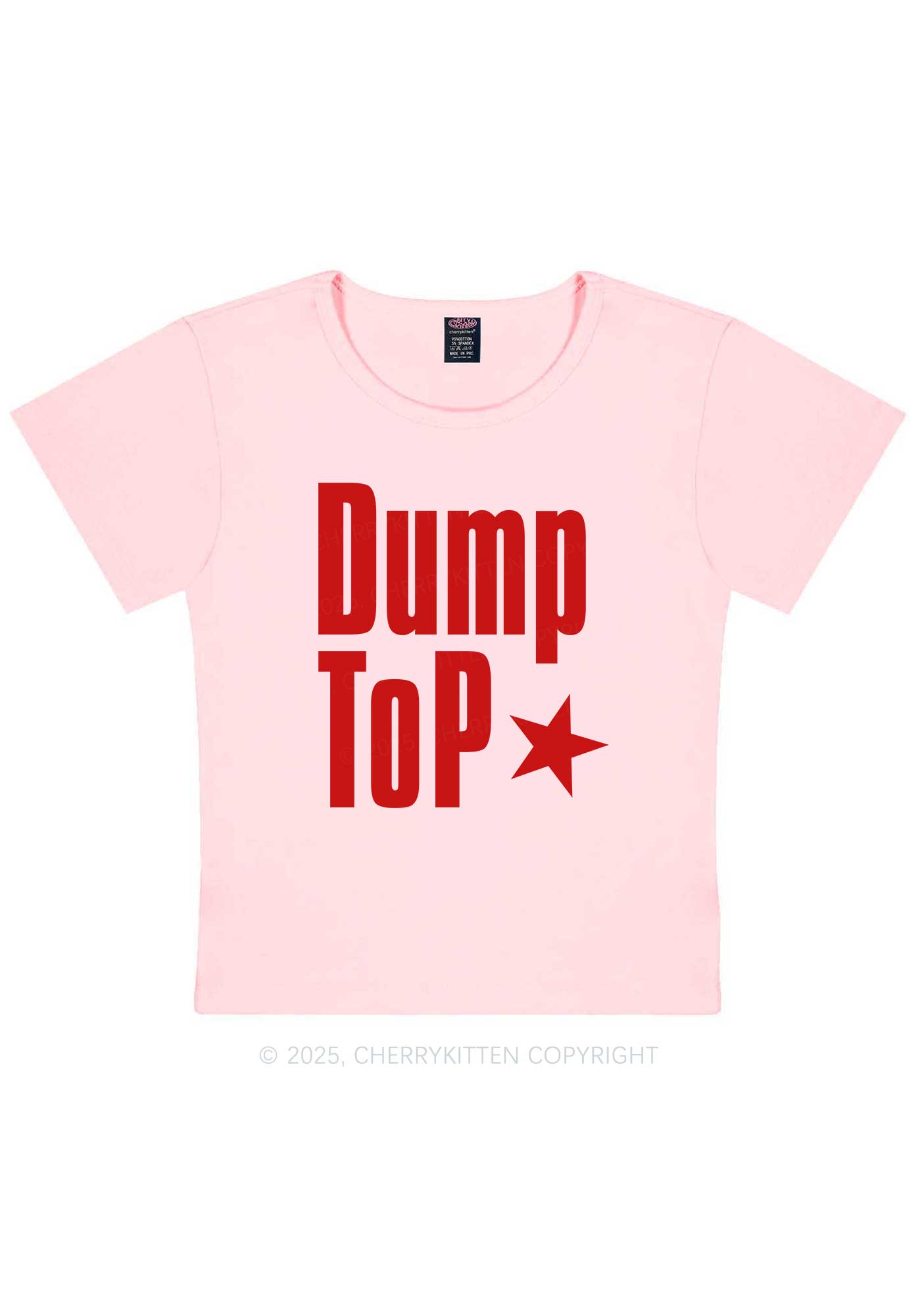 Dump Top Pride Y2K Baby Tee Cherrykitten