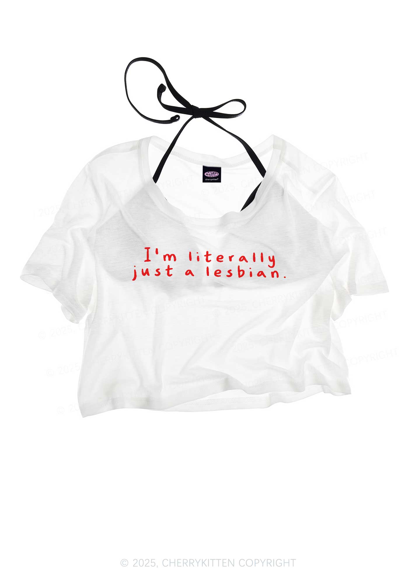 Just A Lesbian Pride Y2K Sheer Crop Tee Cherrykitten