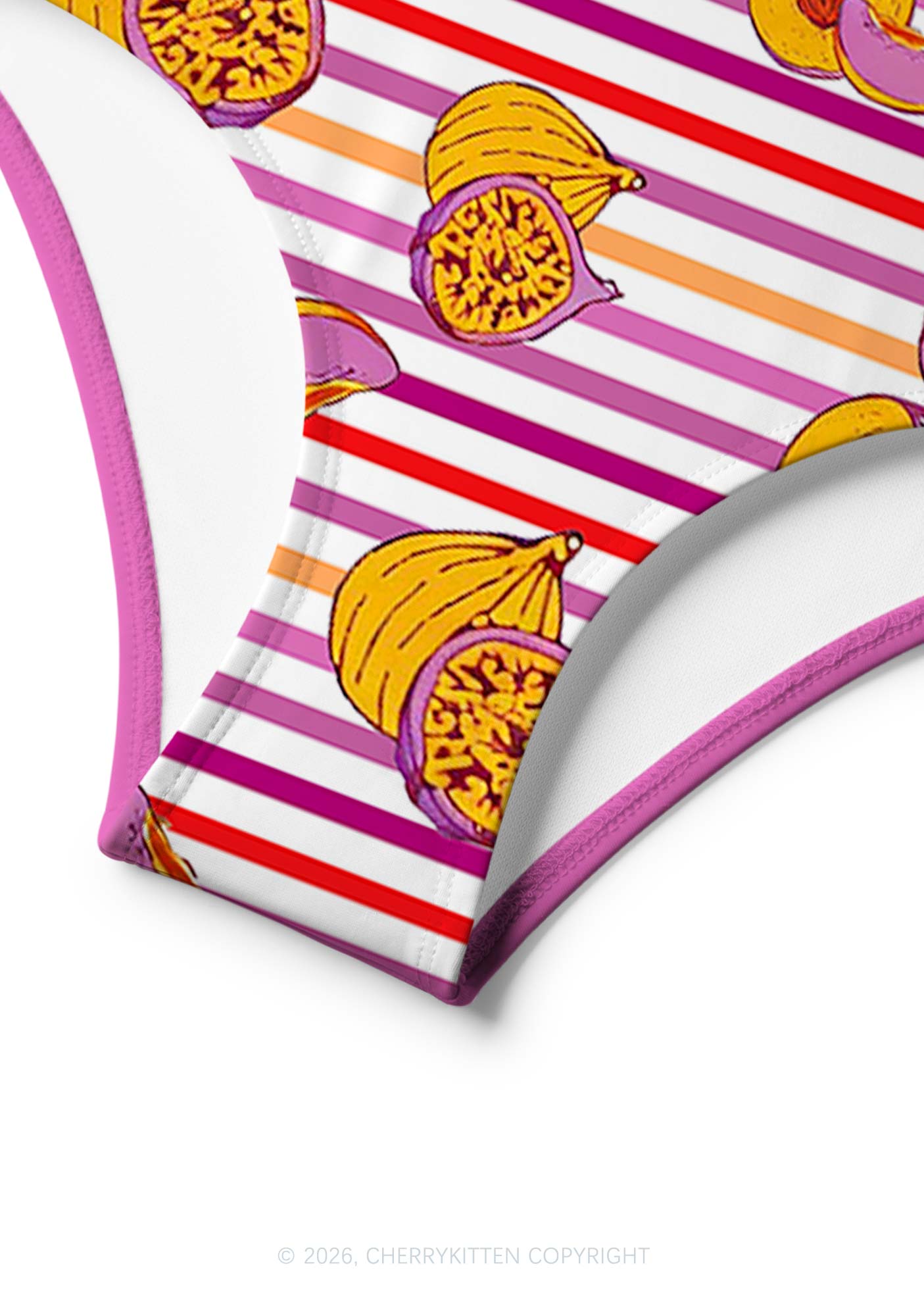 Peachy Lesbian Stripe Pride Y2K Print Bikini Set Cherrykitten