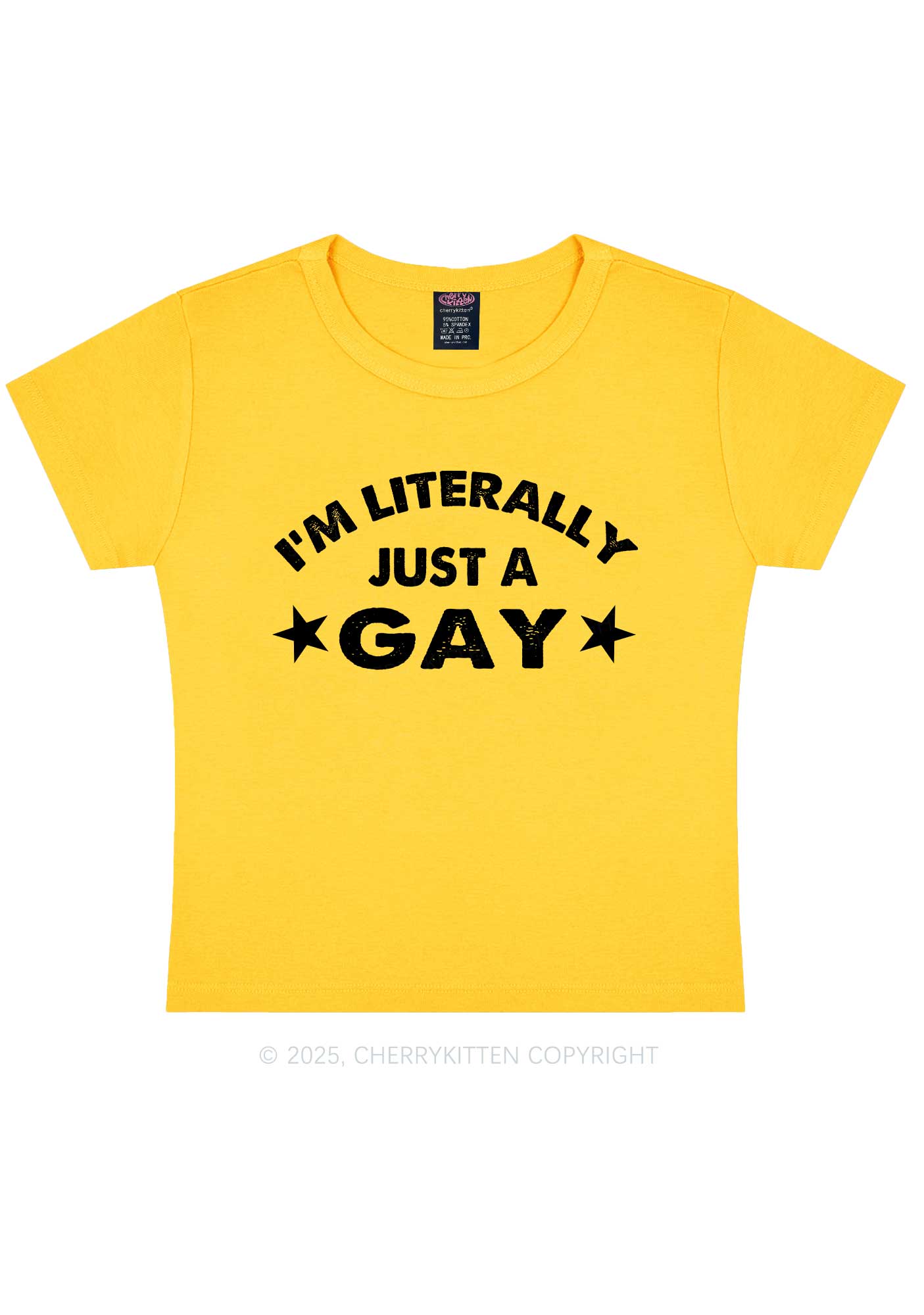 Literally Just A Gay Pride Y2K Baby Tee Cherrykitten